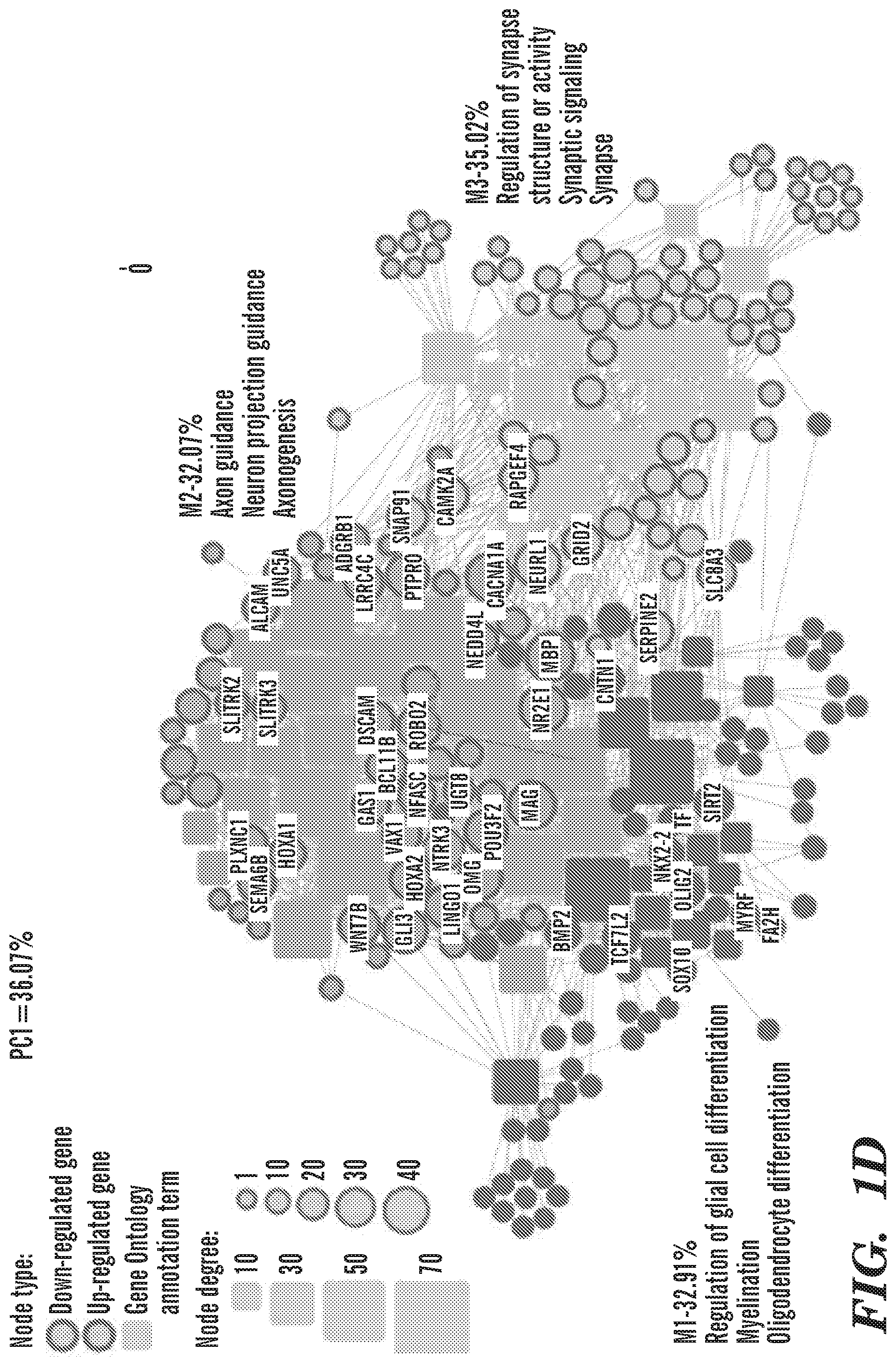 Patent US12303549 Figure 4 – Methods of treating or inhibiting onset of Huntington's disease