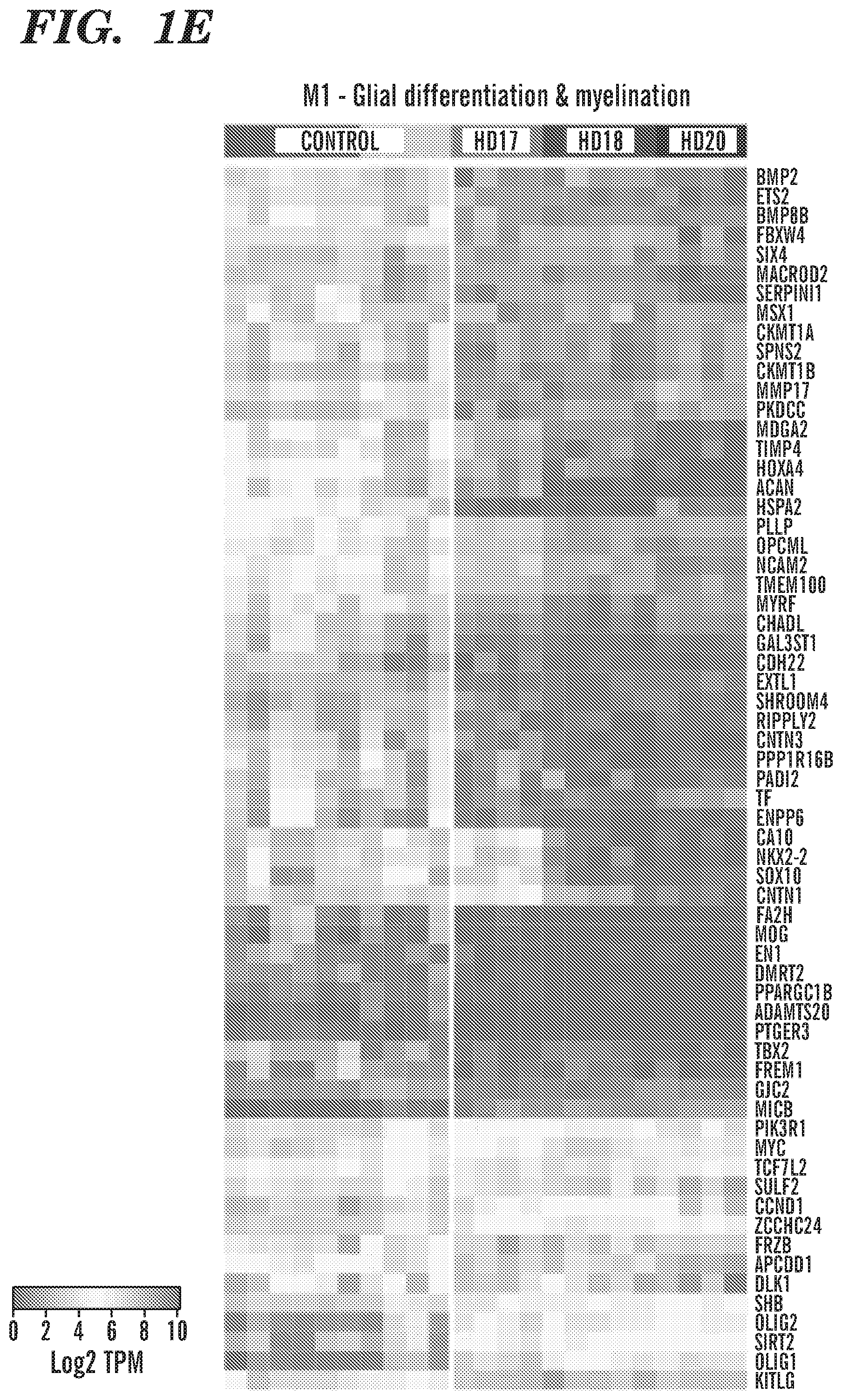 Patent US12303549 Figure 5 – Methods of treating or inhibiting onset of Huntington's disease