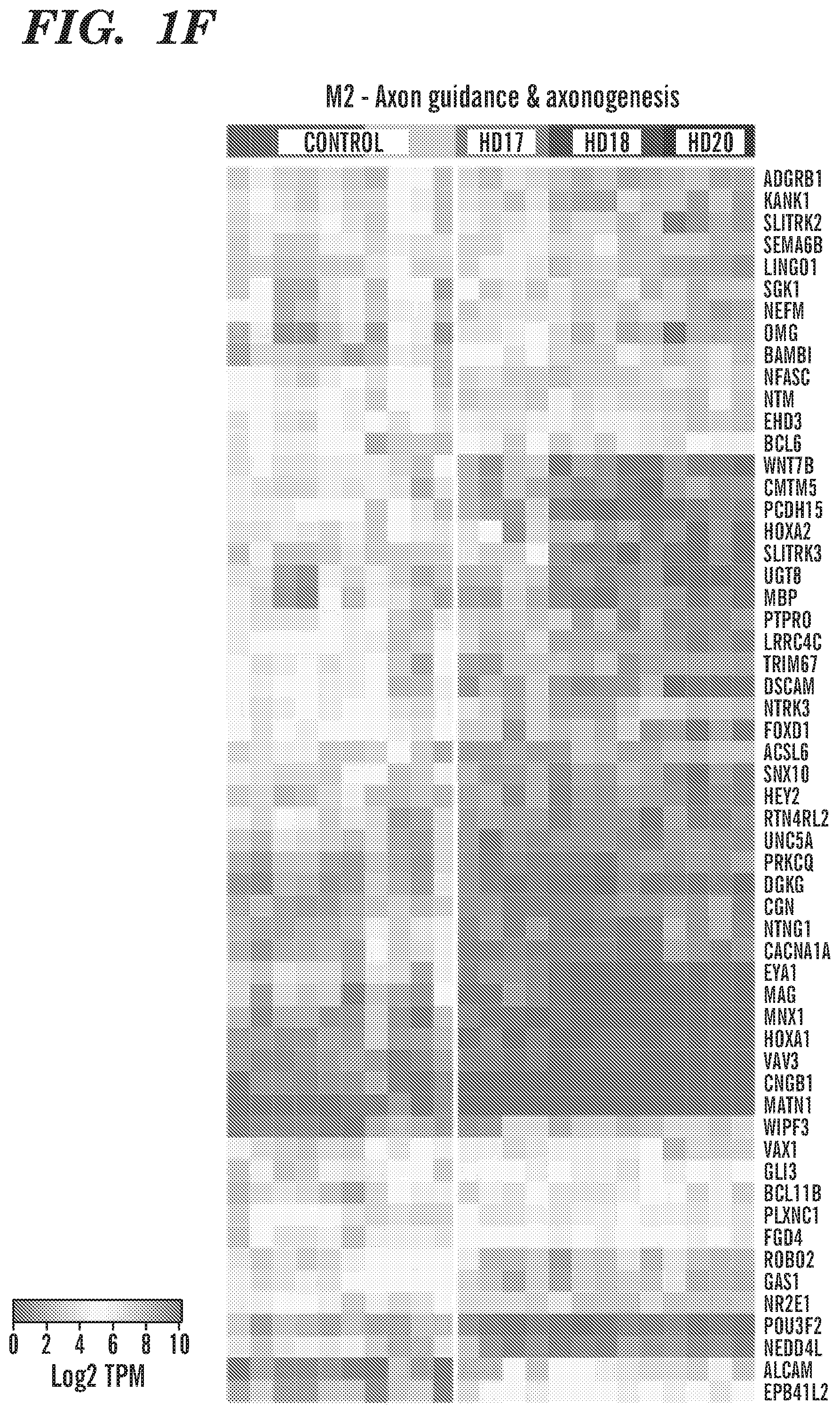 Patent US12303549 Figure 6 – Methods of treating or inhibiting onset of Huntington's disease