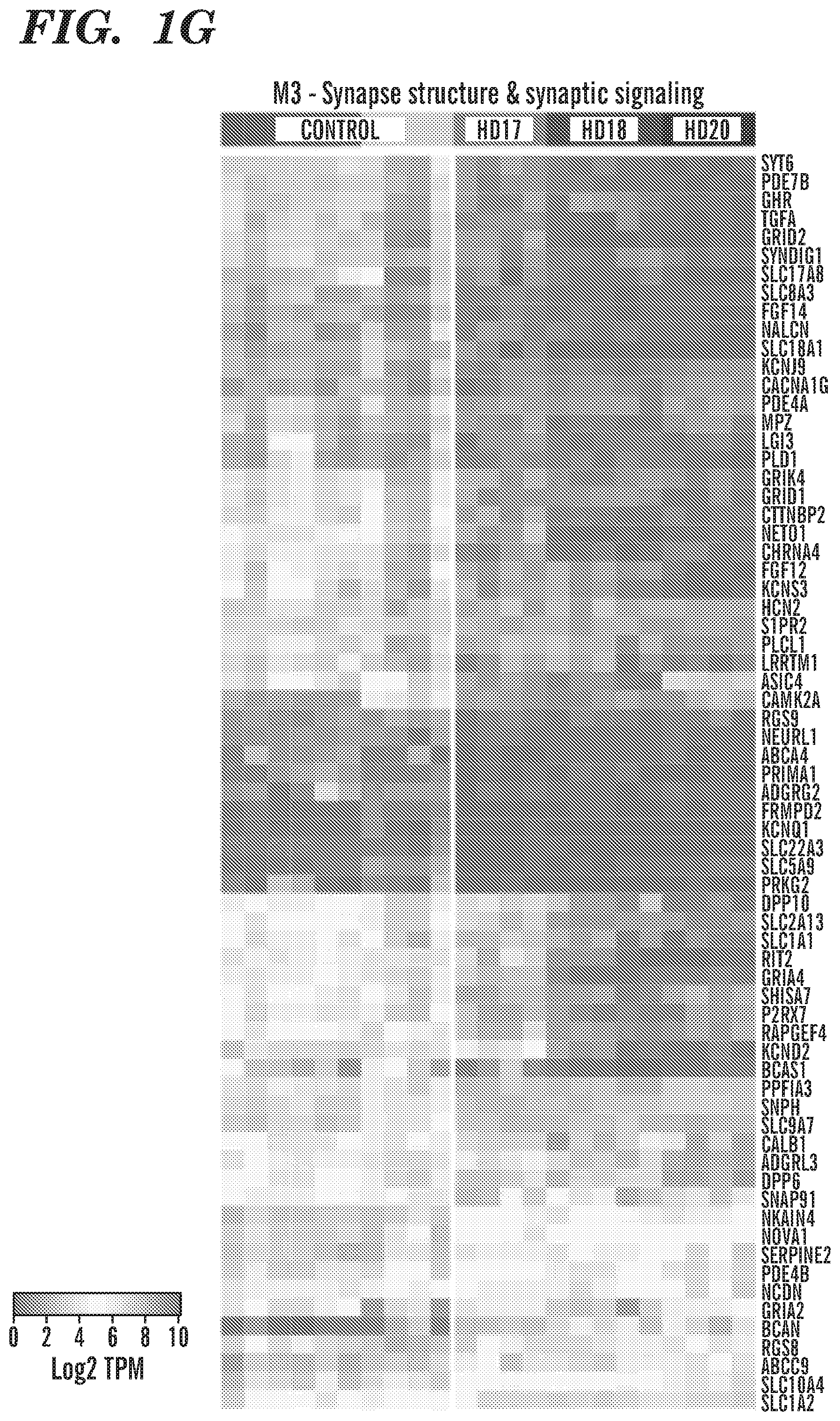 Patent US12303549 Figure 7 – Methods of treating or inhibiting onset of Huntington's disease