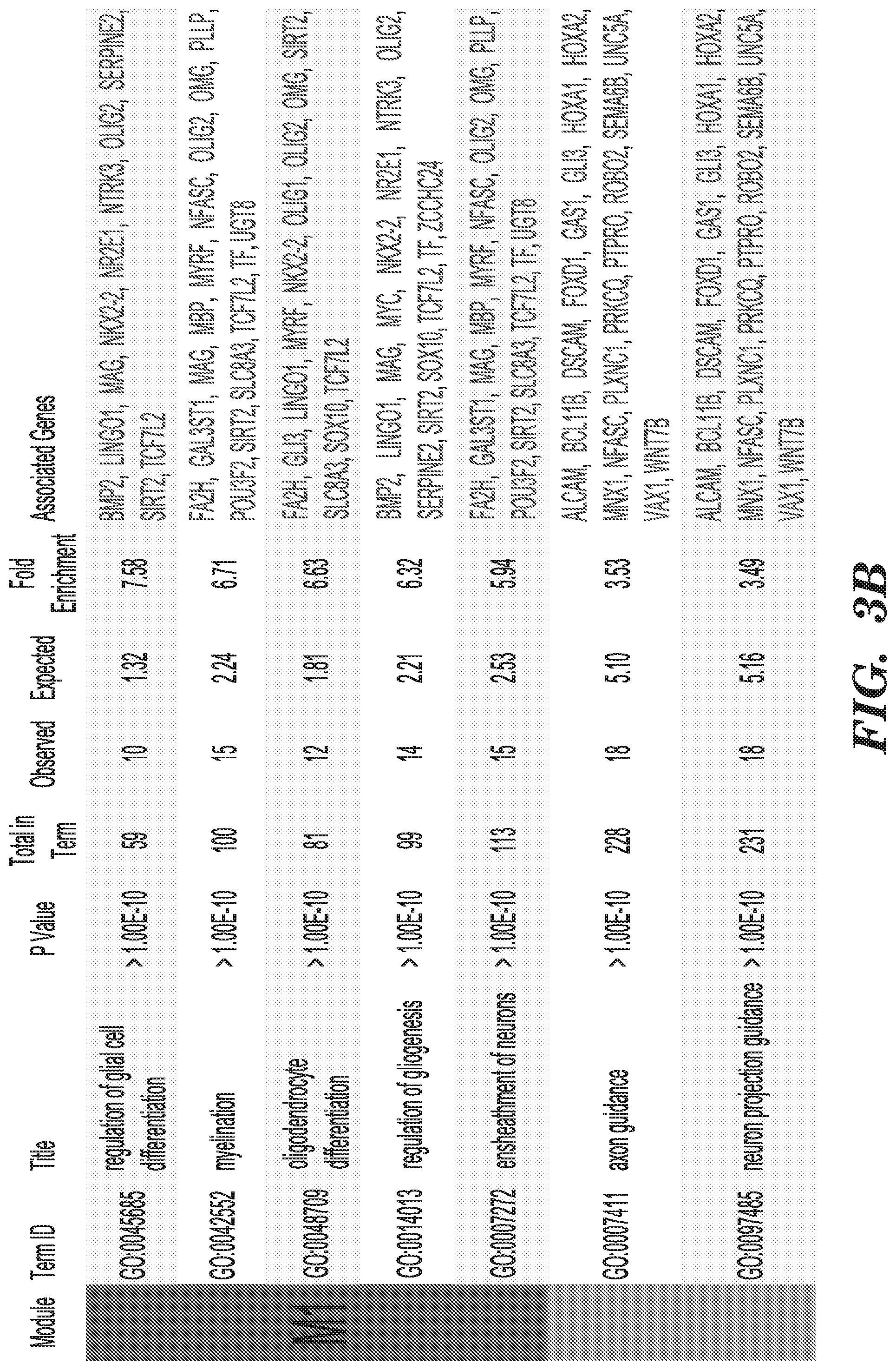 Patent US12303549 Figure 11 – Methods of treating or inhibiting onset of Huntington's disease