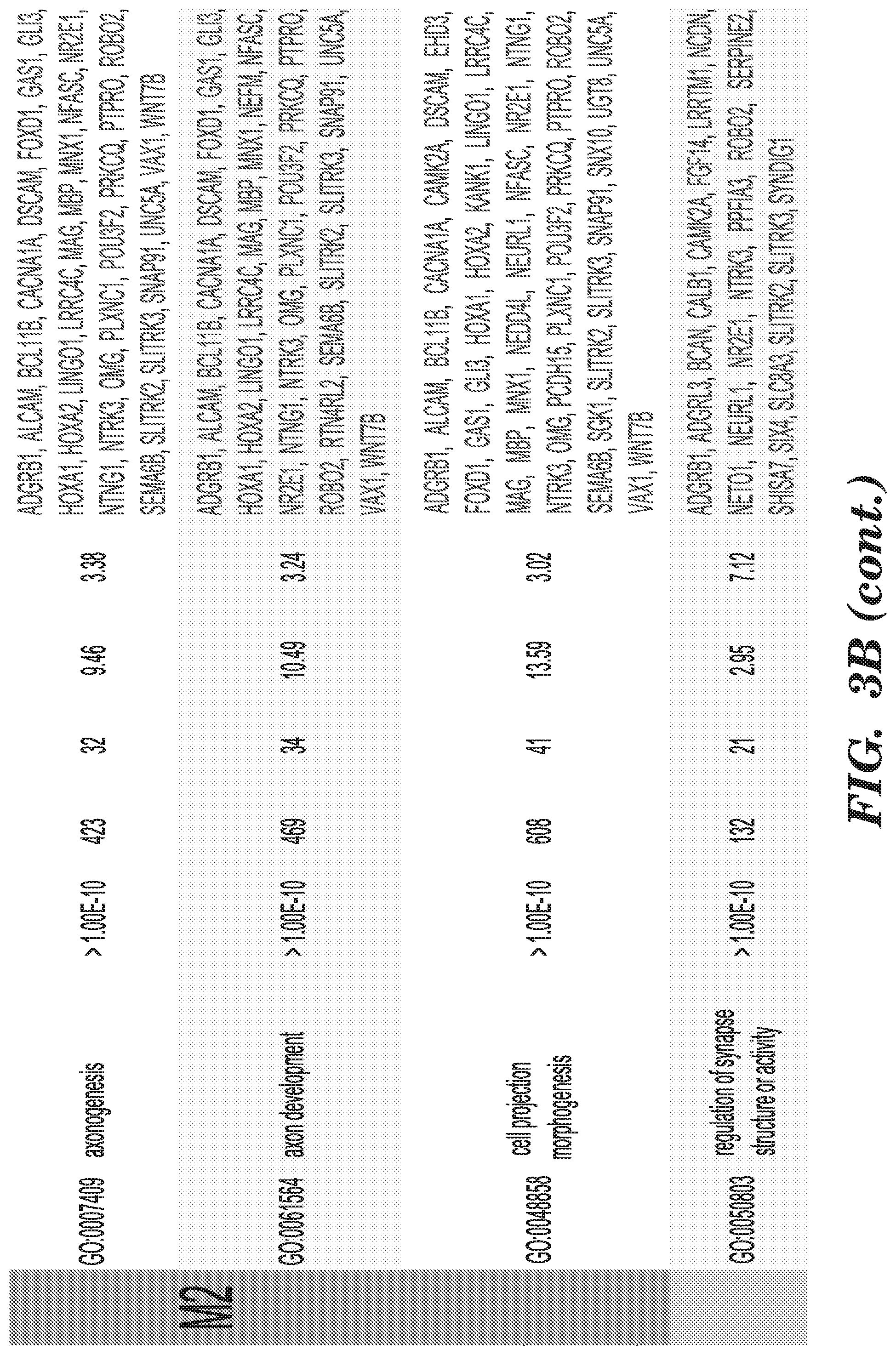Patent US12303549 Figure 12 – Methods of treating or inhibiting onset of Huntington's disease