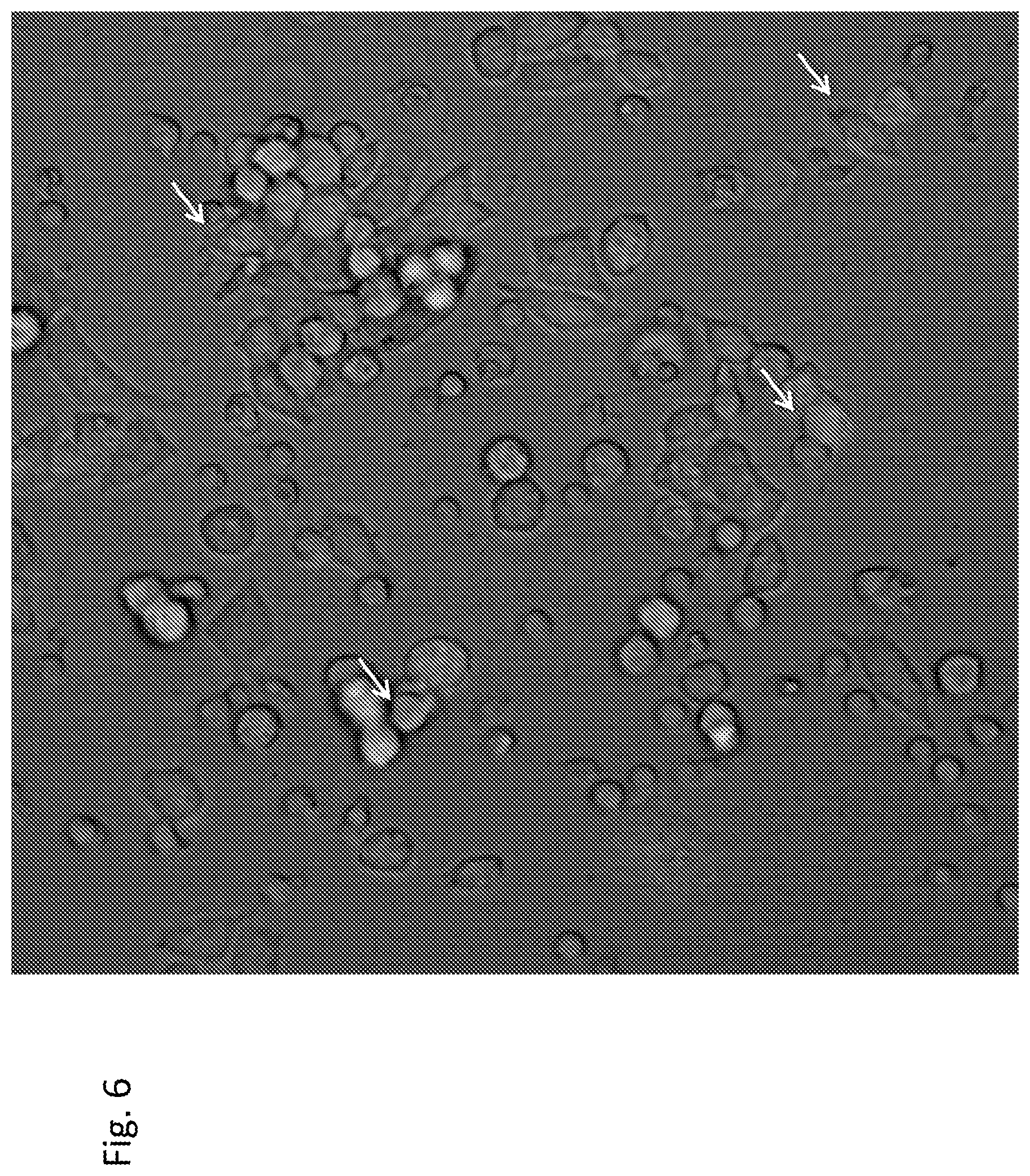 Patent US12303551 Figure 6 – Cellular immunotherapy compositions and uses thereof