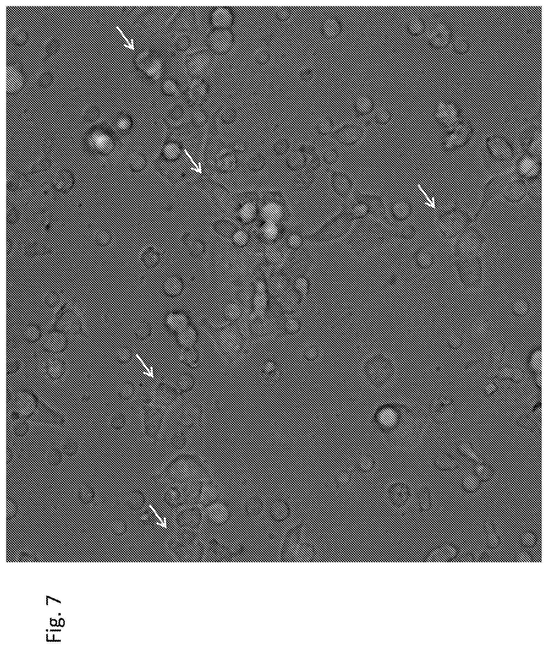 Patent US12303551 Figure 7 – Cellular immunotherapy compositions and uses thereof