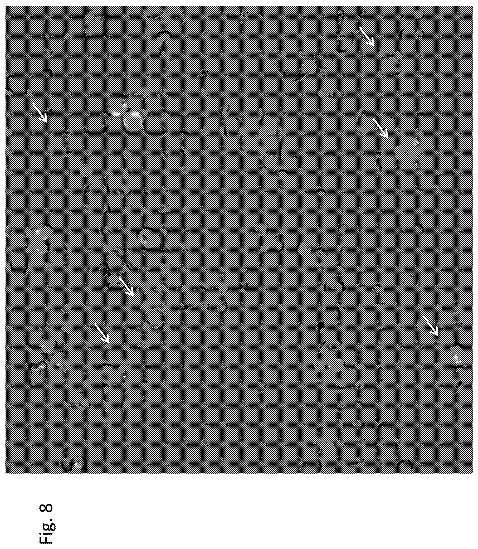 Patent US12303551 Figure 8 – Cellular immunotherapy compositions and uses thereof