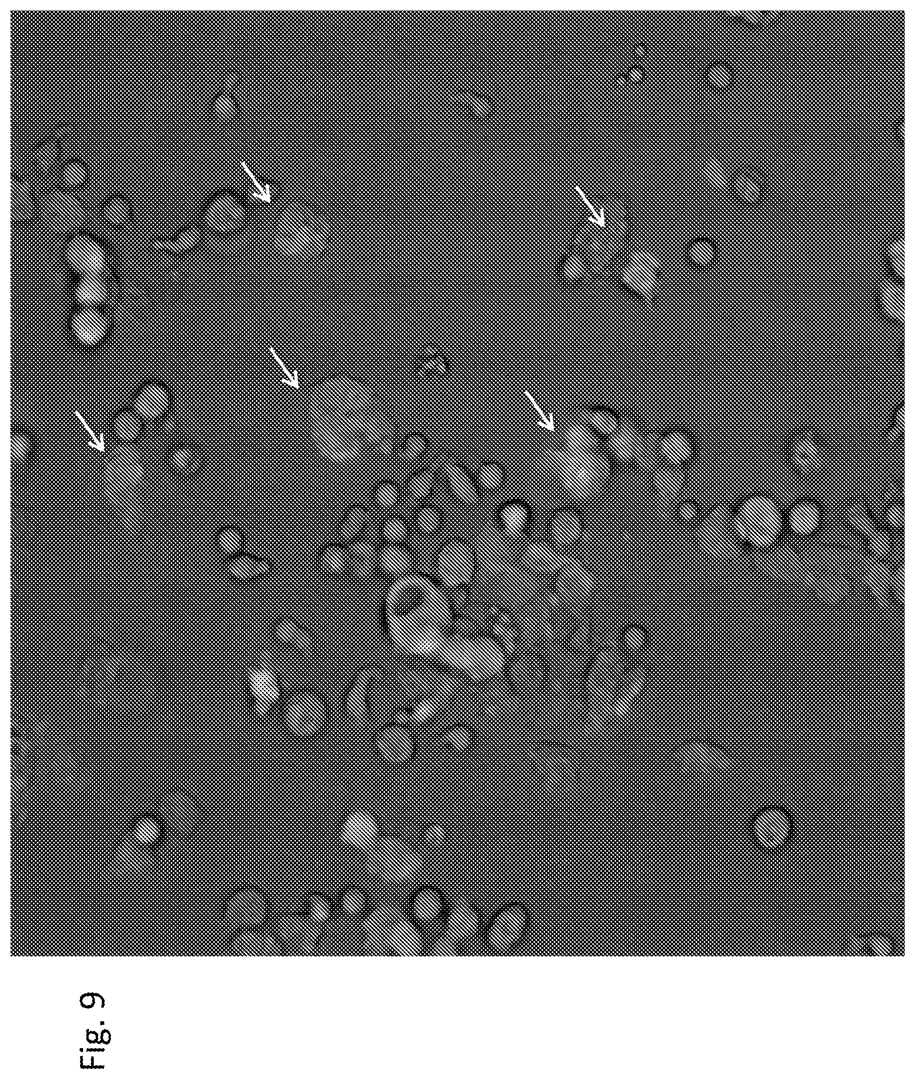 Patent US12303551 Figure 9 – Cellular immunotherapy compositions and uses thereof