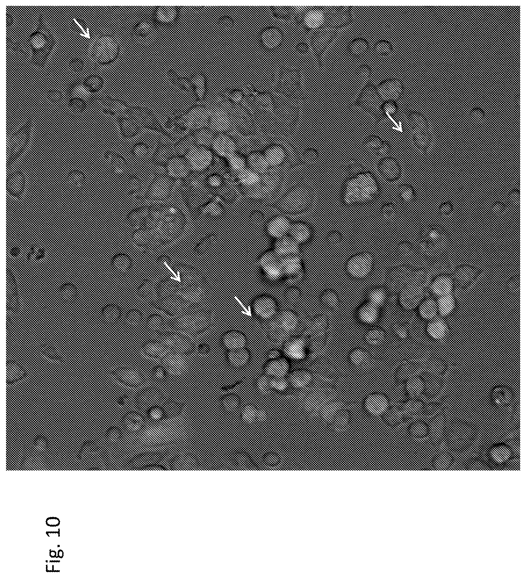 Patent US12303551 Figure 10 – Cellular immunotherapy compositions and uses thereof