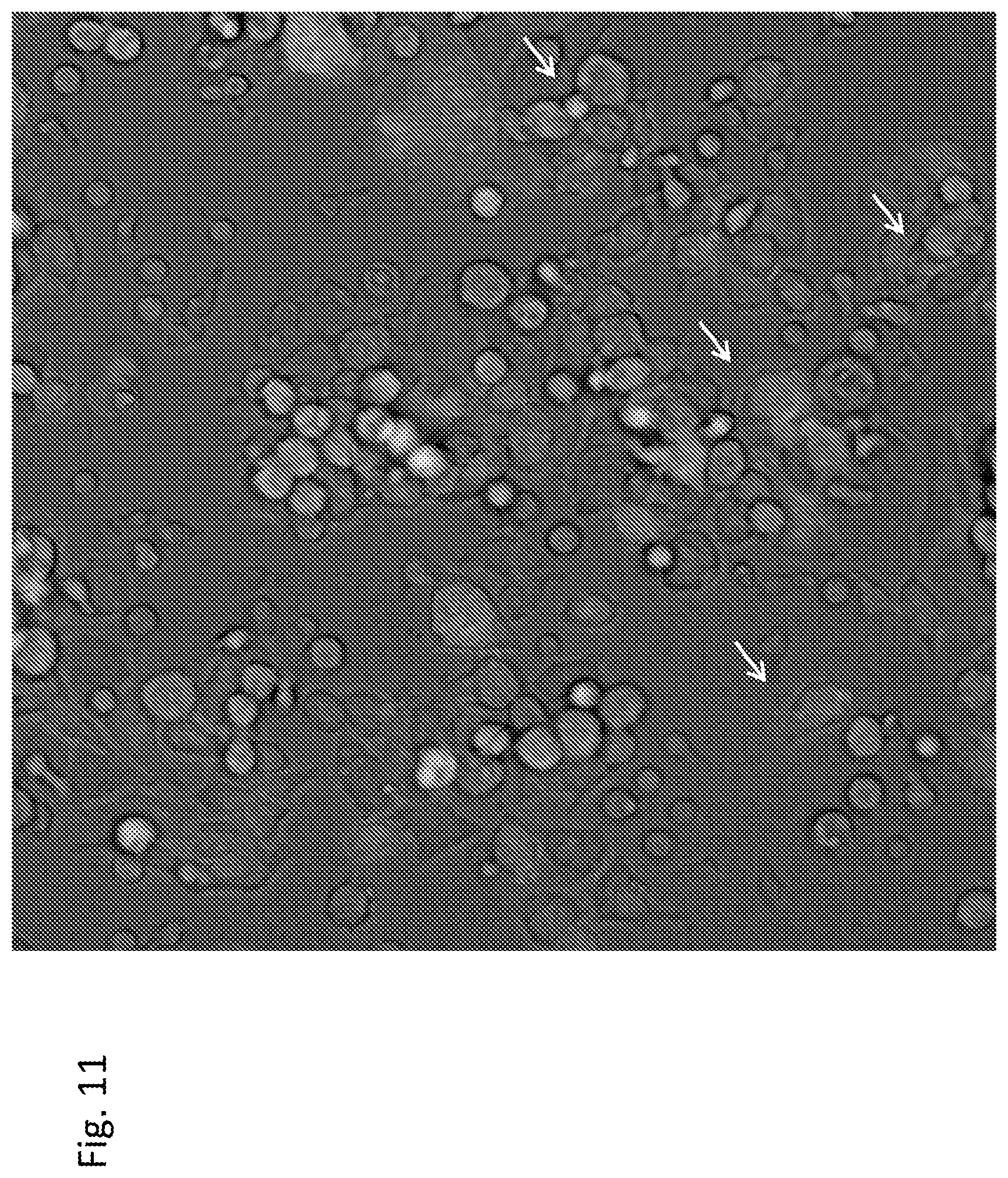 Patent US12303551 Figure 11 – Cellular immunotherapy compositions and uses thereof