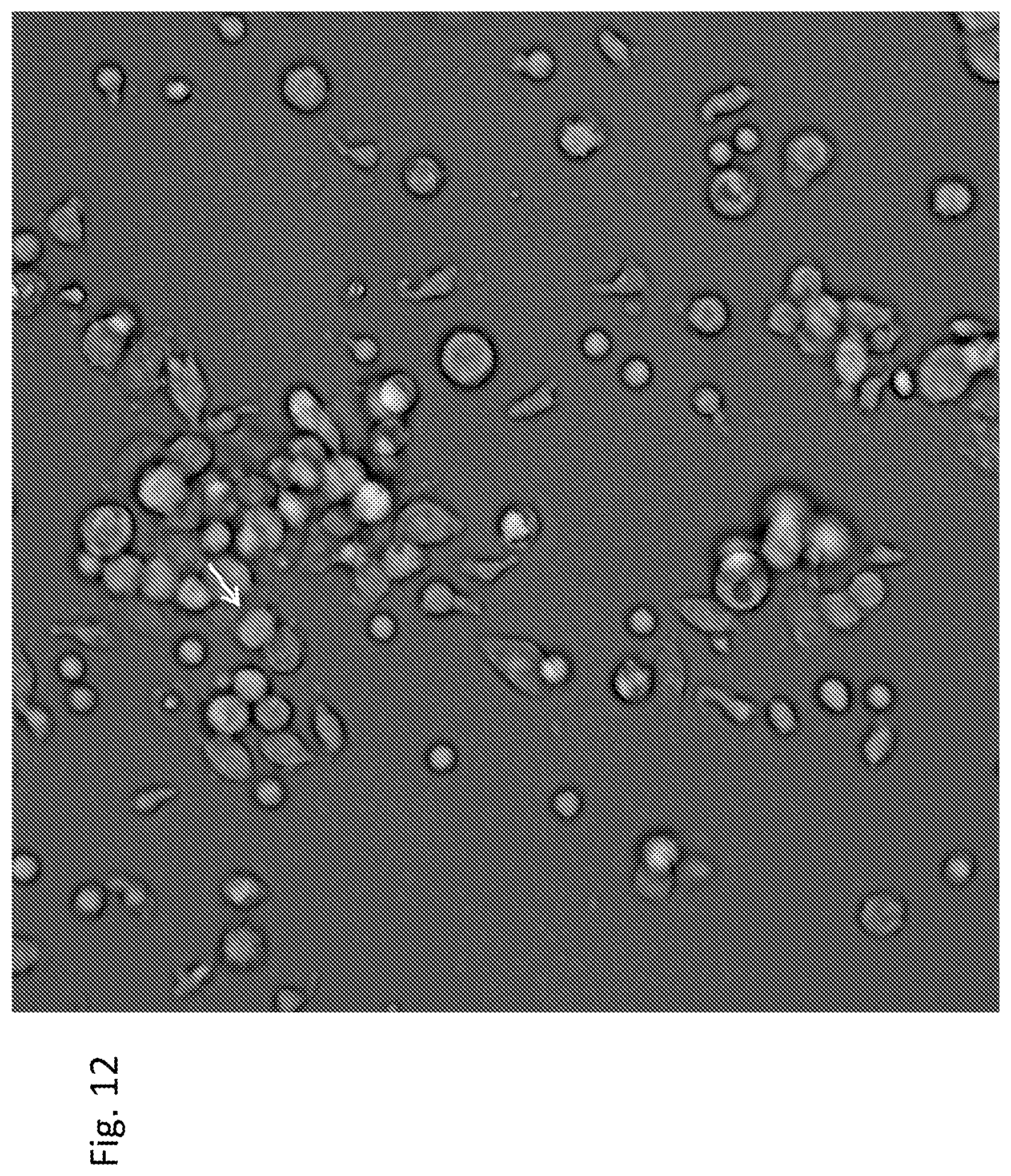 Patent US12303551 Figure 12 – Cellular immunotherapy compositions and uses thereof