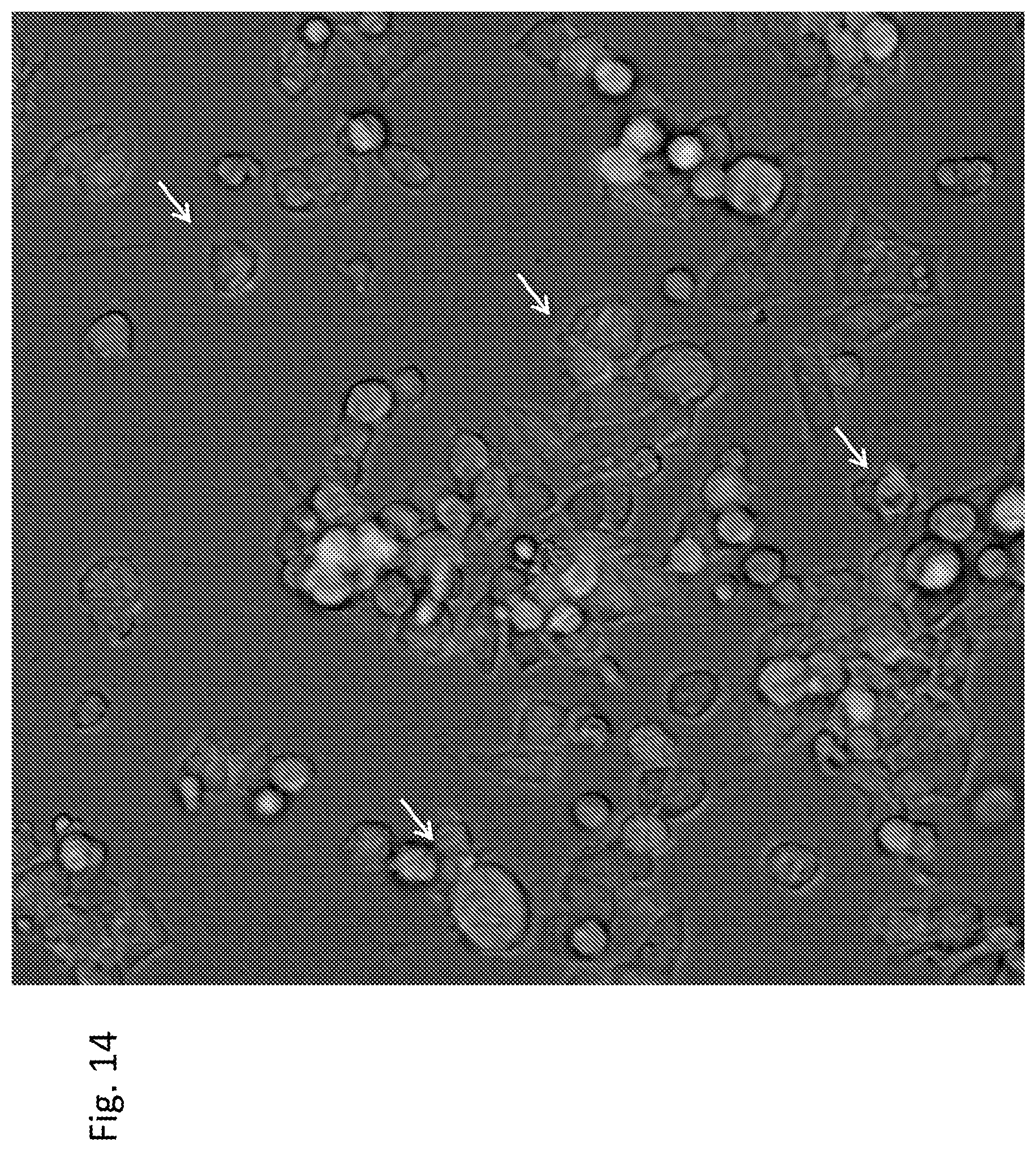 Patent US12303551 Figure 14 – Cellular immunotherapy compositions and uses thereof