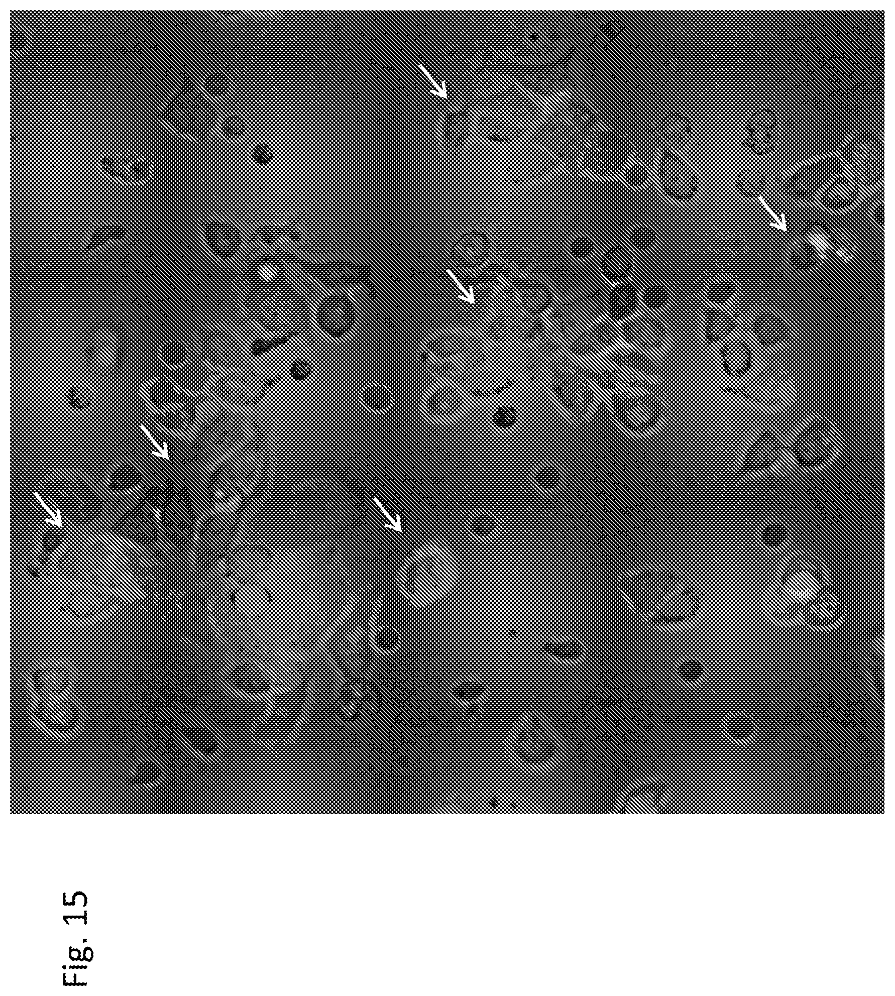 Patent US12303551 Figure 15 – Cellular immunotherapy compositions and uses thereof