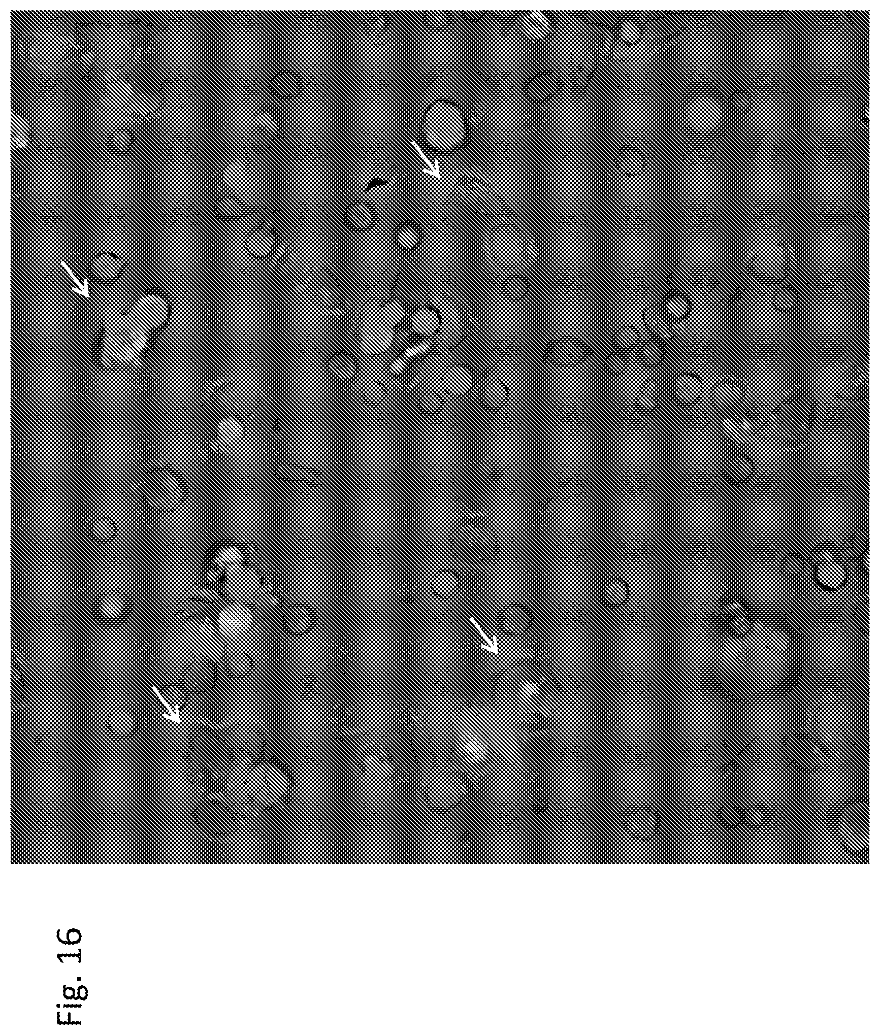 Patent US12303551 Figure 16 – Cellular immunotherapy compositions and uses thereof