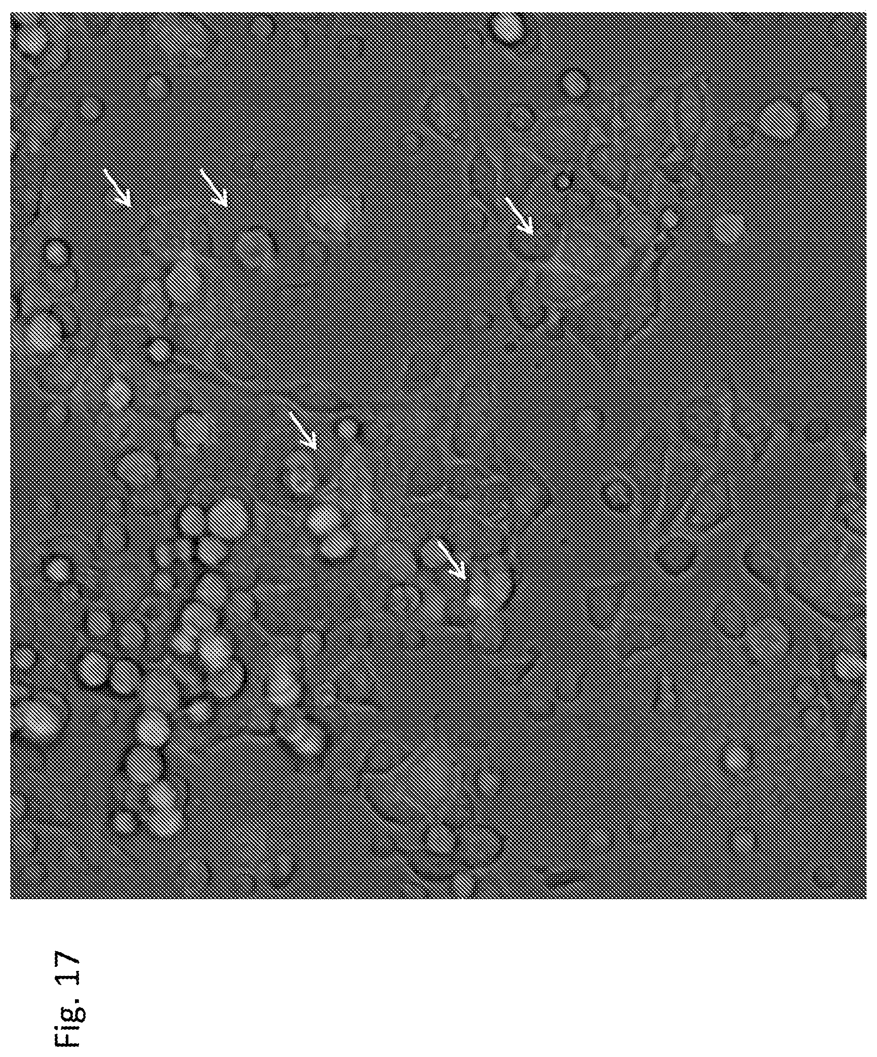 Patent US12303551 Figure 17 – Cellular immunotherapy compositions and uses thereof