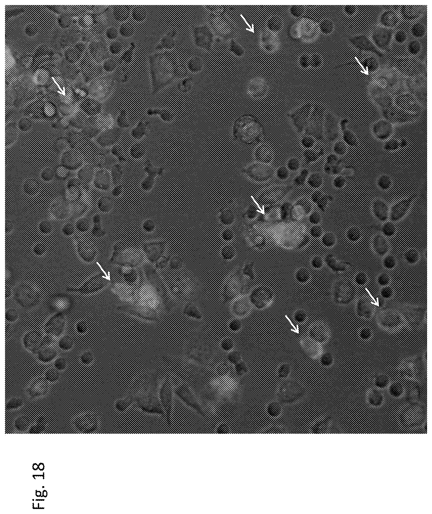 Patent US12303551 Figure 18 – Cellular immunotherapy compositions and uses thereof
