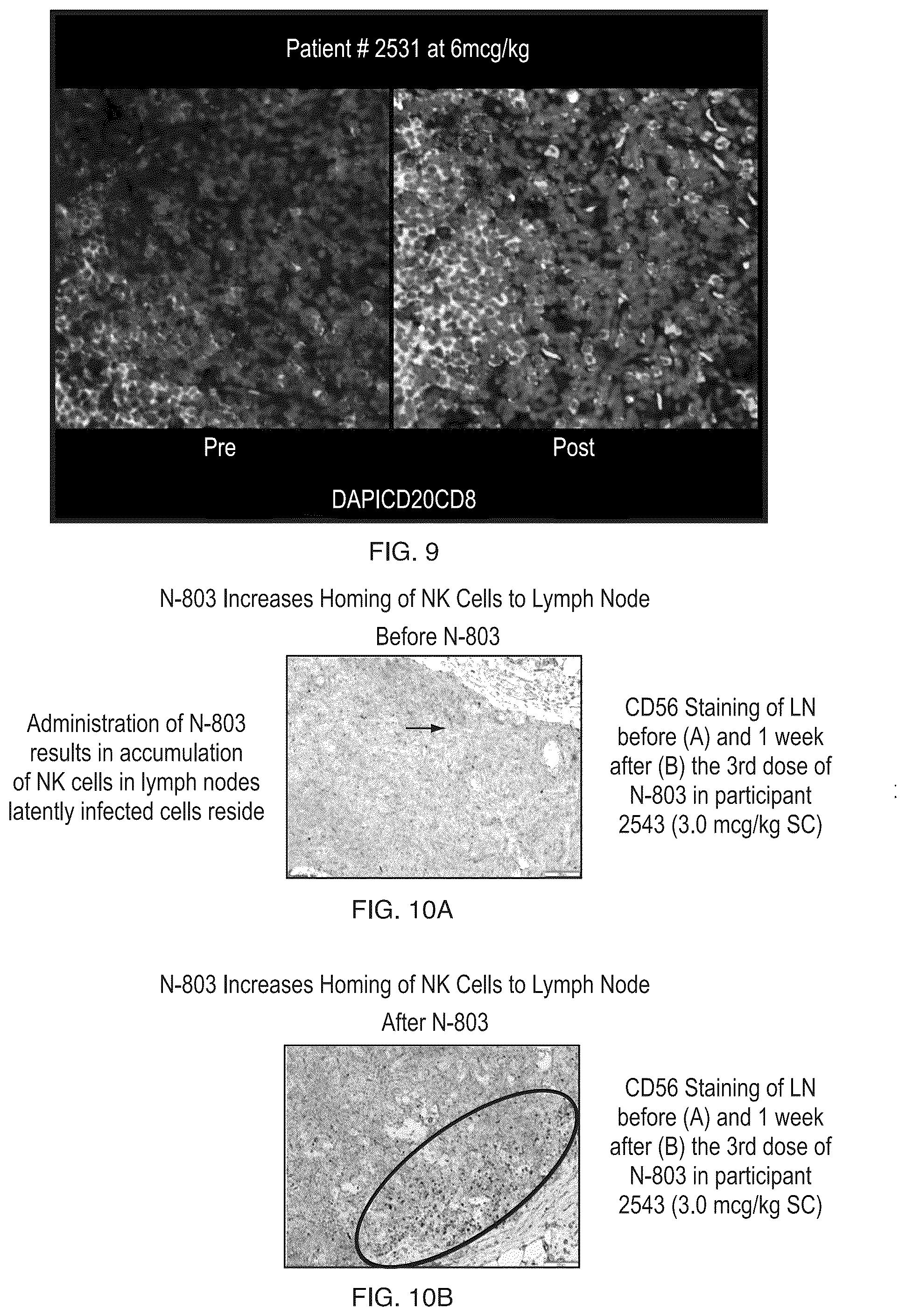 Patent US12303552 Figure 9 – Treatment of immunosuppressed subjects