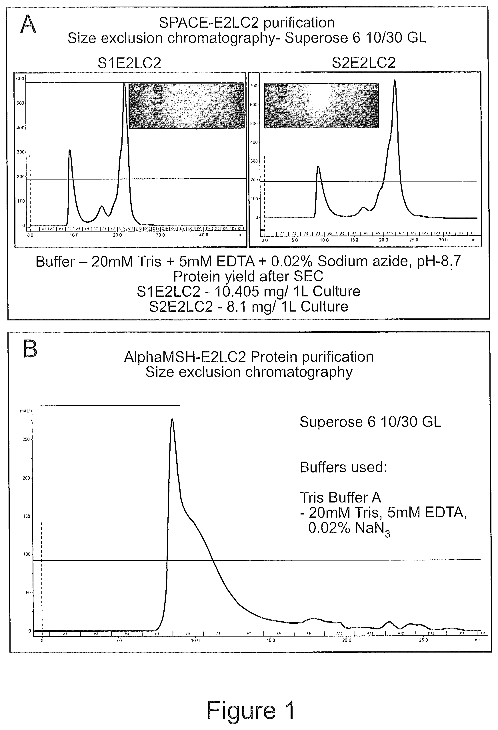 Patent US12303555 Figure 1 – Targeting of melanocytes for delivering therapeutic or diagnostic agents using protein nanocages