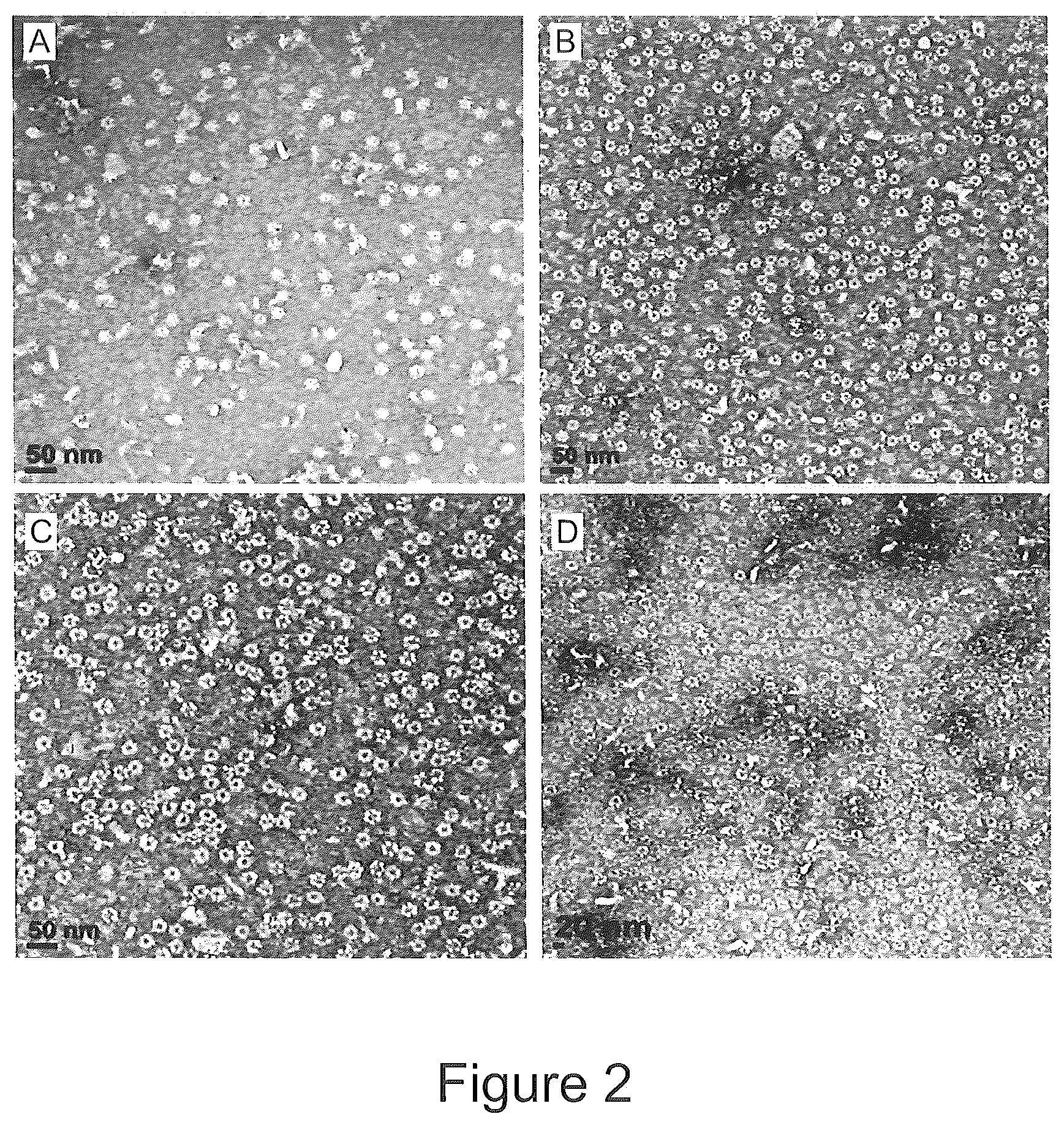 Patent US12303555 Figure 2 – Targeting of melanocytes for delivering therapeutic or diagnostic agents using protein nanocages