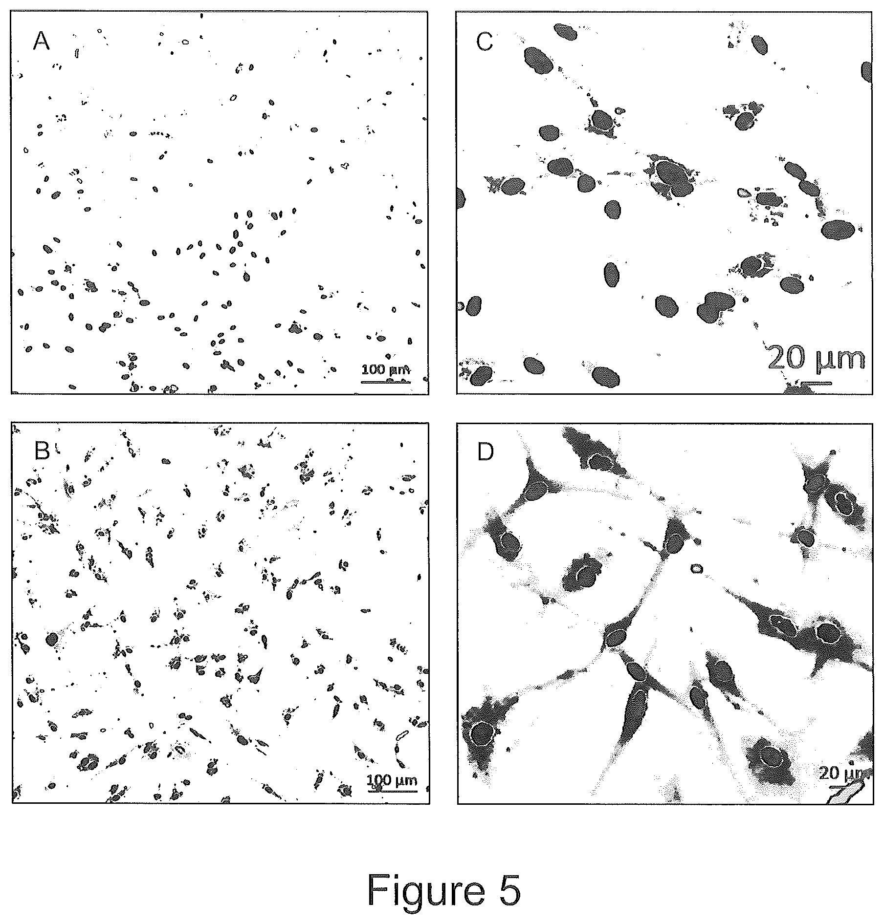 Patent US12303555 Figure 5 – Targeting of melanocytes for delivering therapeutic or diagnostic agents using protein nanocages