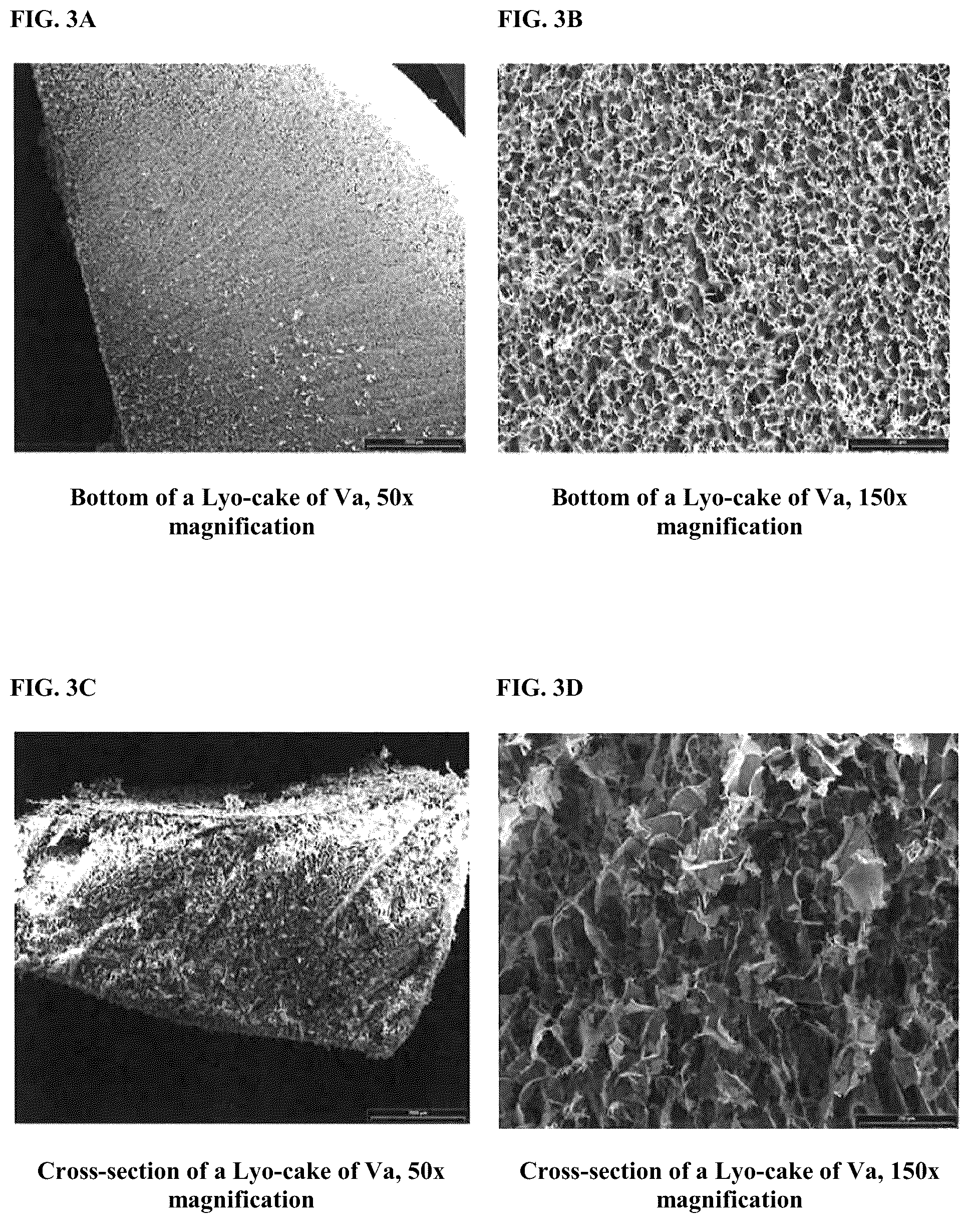 Patent US12303557 Figure 4 – Collagenase formulations and methods of producing the same