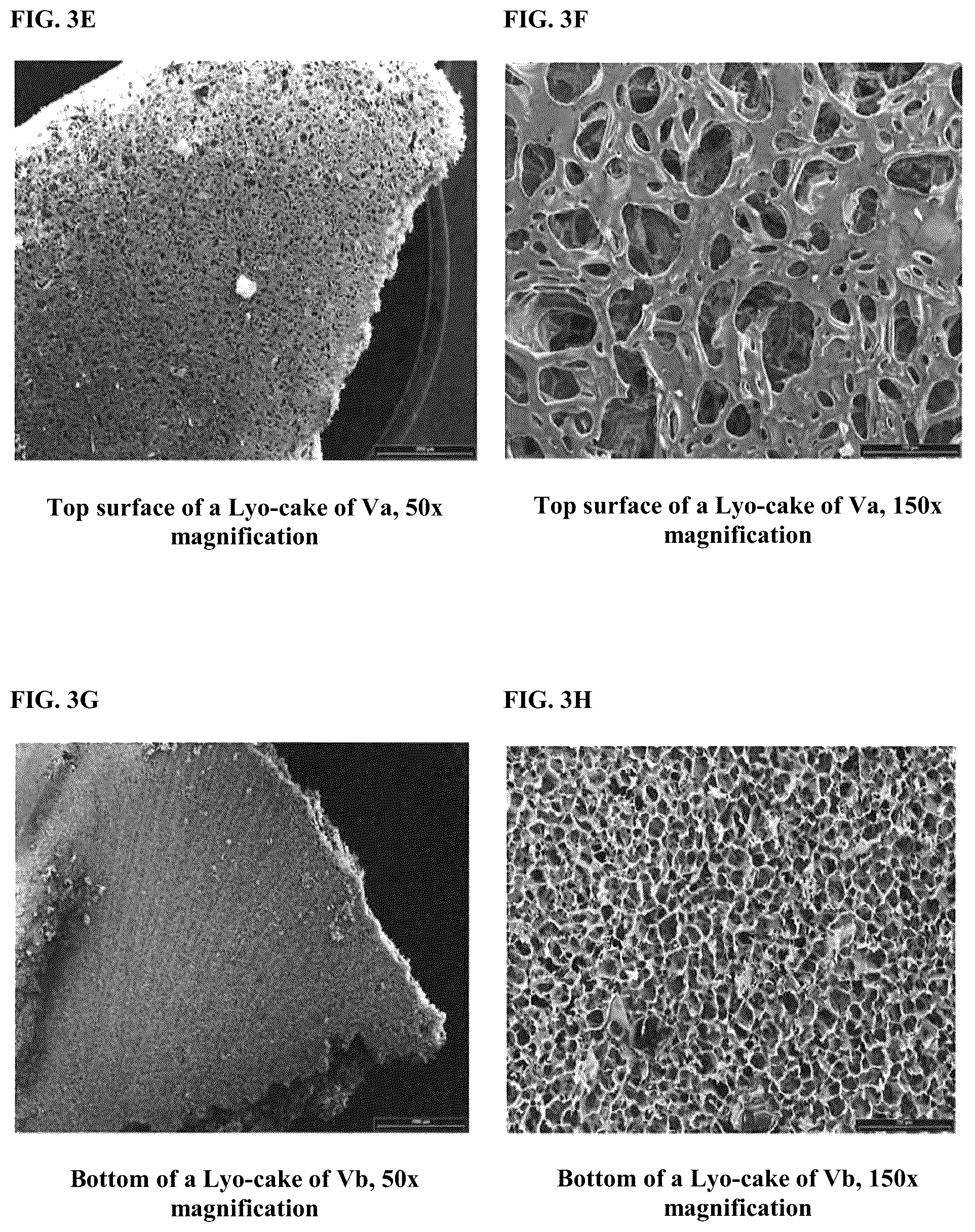 Patent US12303557 Figure 5 – Collagenase formulations and methods of producing the same
