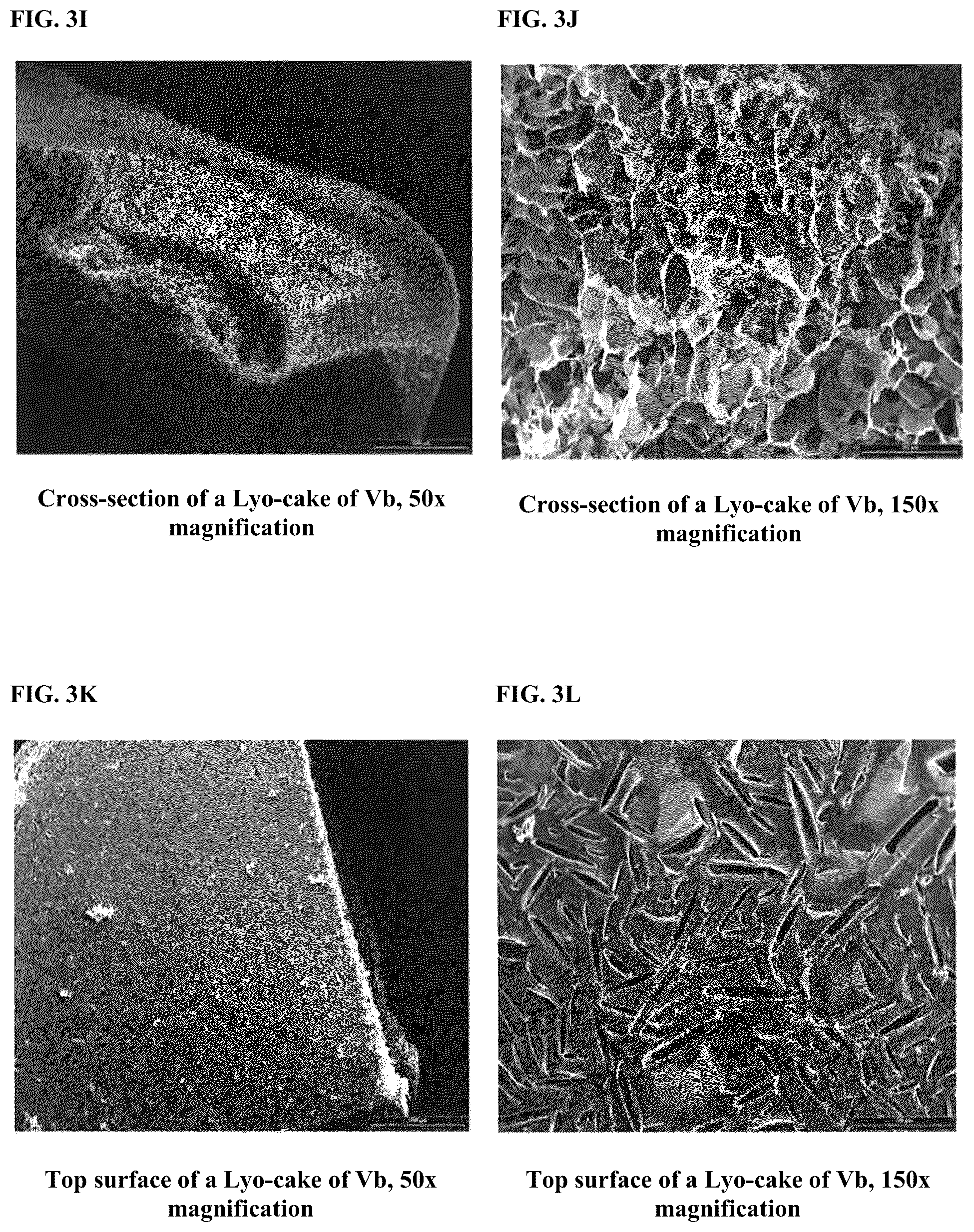 Patent US12303557 Figure 6 – Collagenase formulations and methods of producing the same