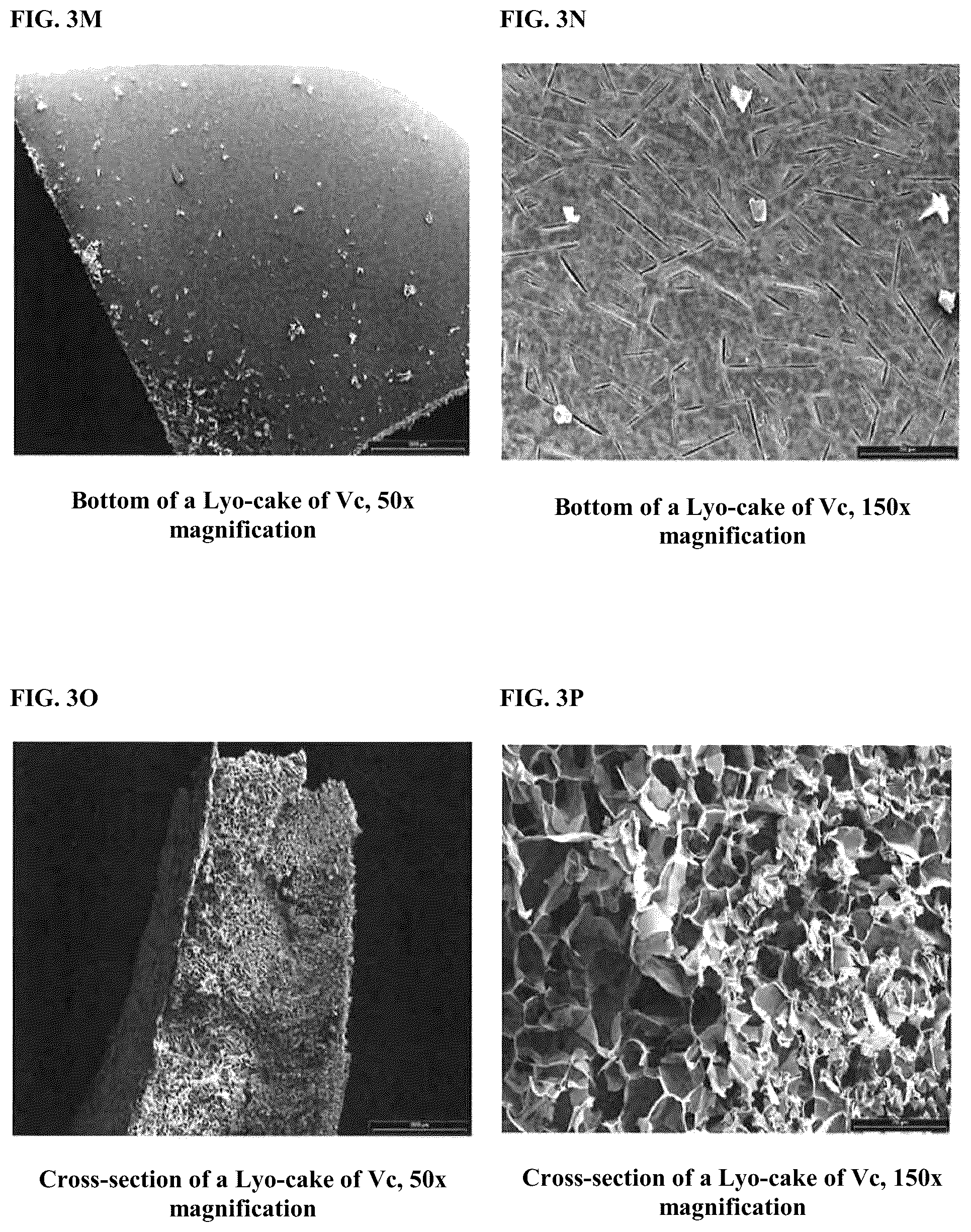 Patent US12303557 Figure 7 – Collagenase formulations and methods of producing the same