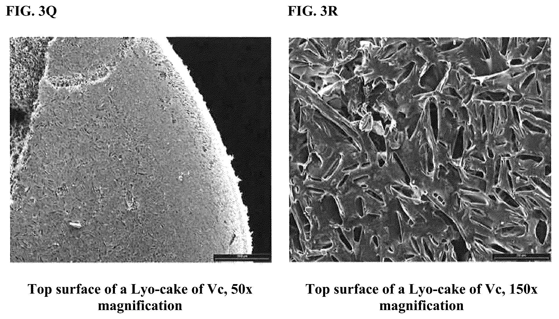 Patent US12303557 Figure 8 – Collagenase formulations and methods of producing the same