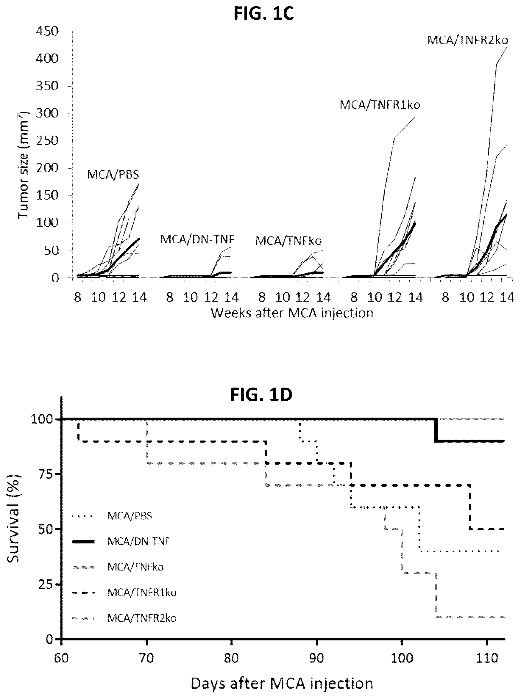 Patent US12303558 Figure 2 – Cancer prevention and therapy by inhibiting soluble tumor necrosis factor