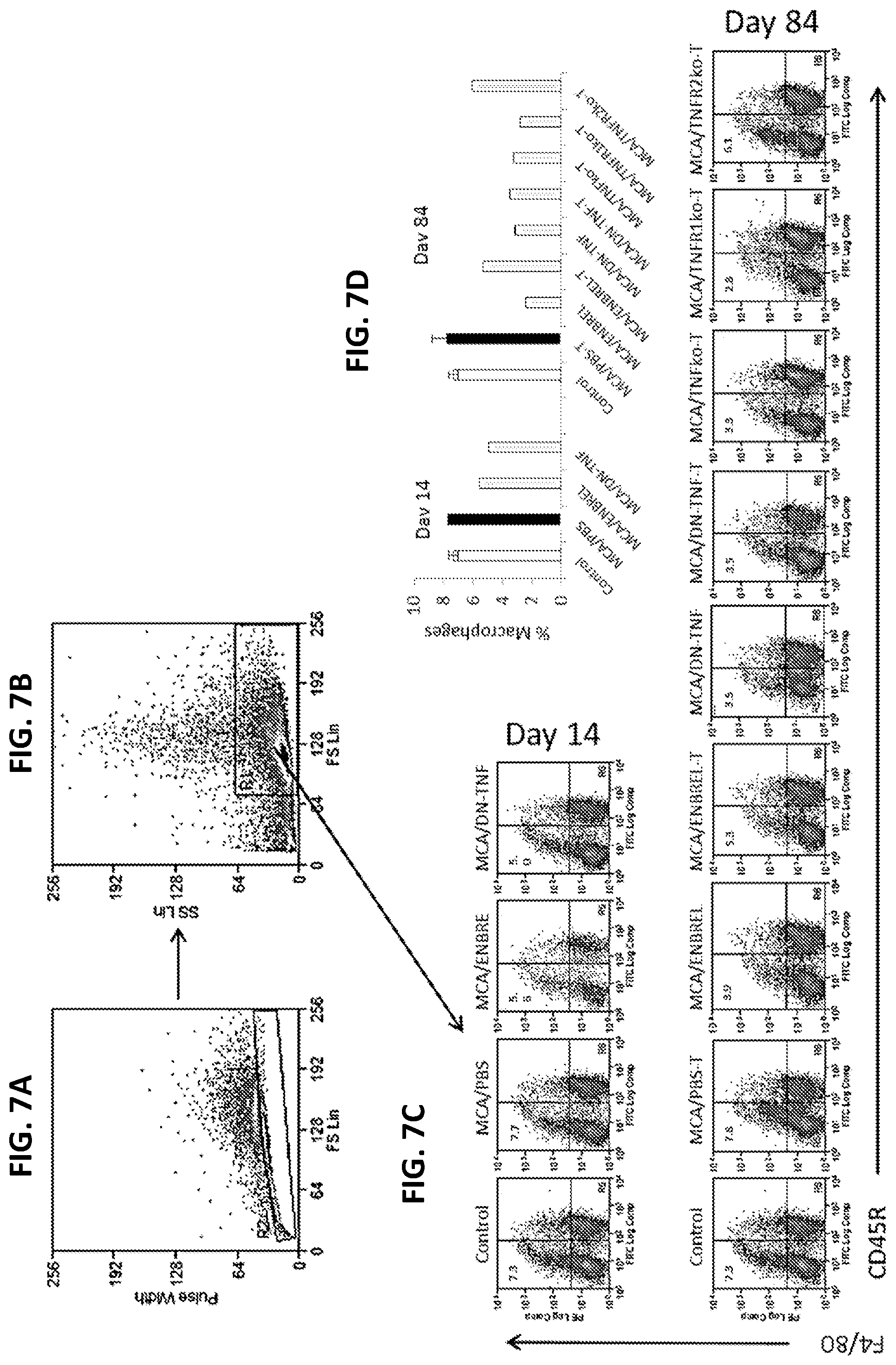 Patent US12303558 Figure 13 – Cancer prevention and therapy by inhibiting soluble tumor necrosis factor