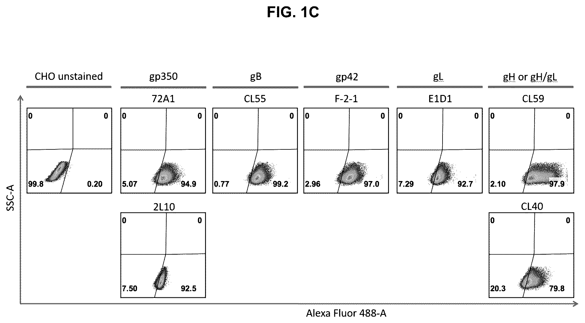 Patent US12303559 Figure 2 – Multivalent Epstein-Barr virus-like particles and uses thereof