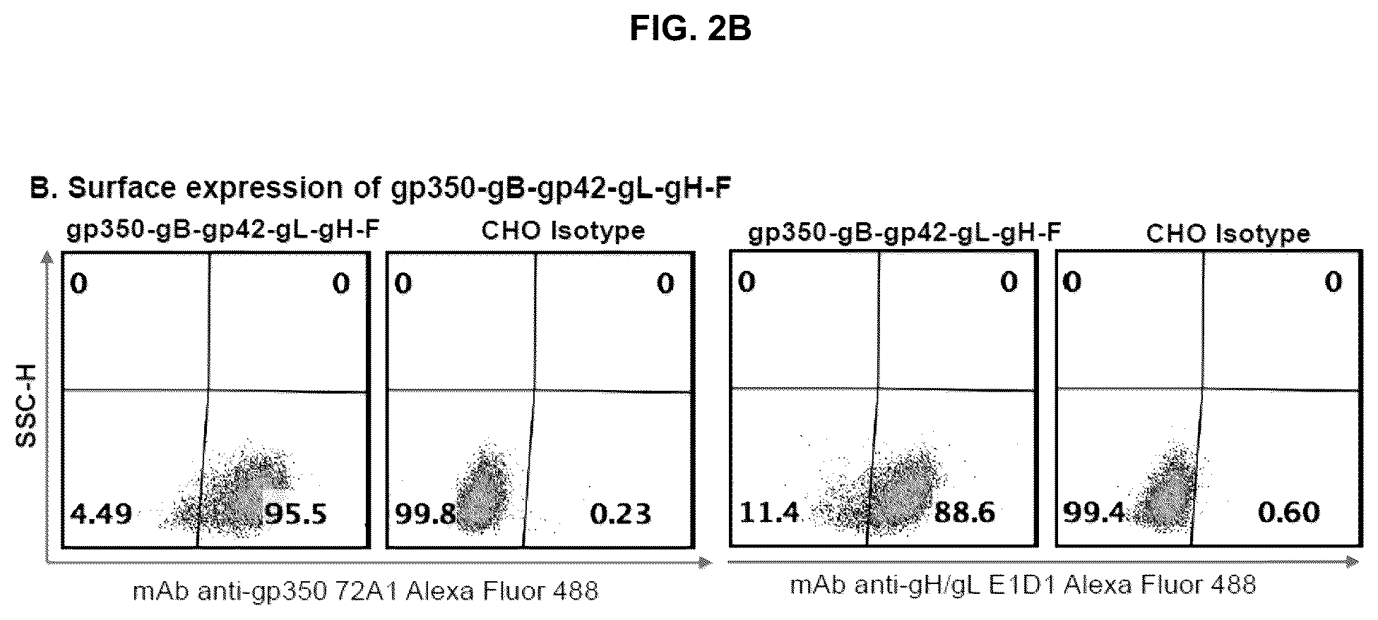 Patent US12303559 Figure 4 – Multivalent Epstein-Barr virus-like particles and uses thereof