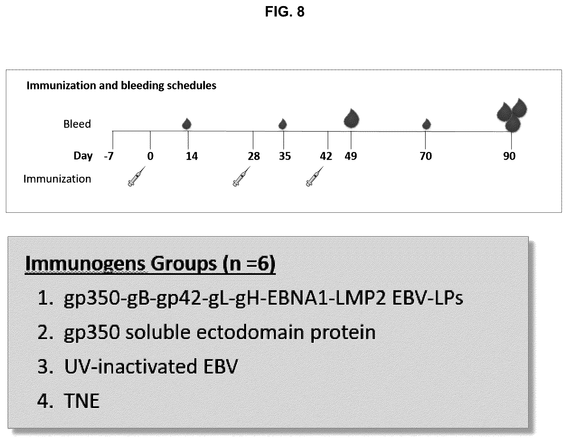 Patent US12303559 Figure 12 – Multivalent Epstein-Barr virus-like particles and uses thereof