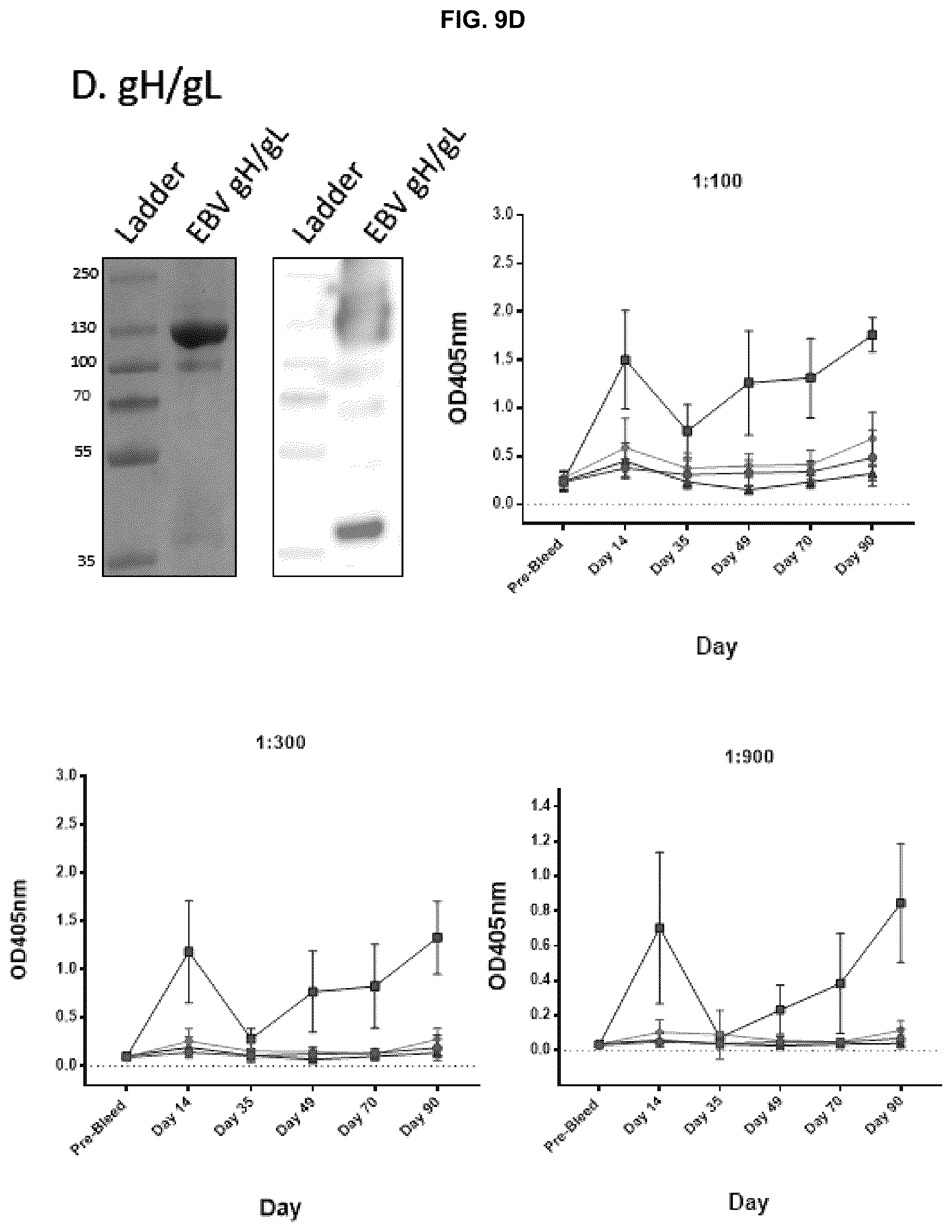 Patent US12303559 Figure 16 – Multivalent Epstein-Barr virus-like particles and uses thereof