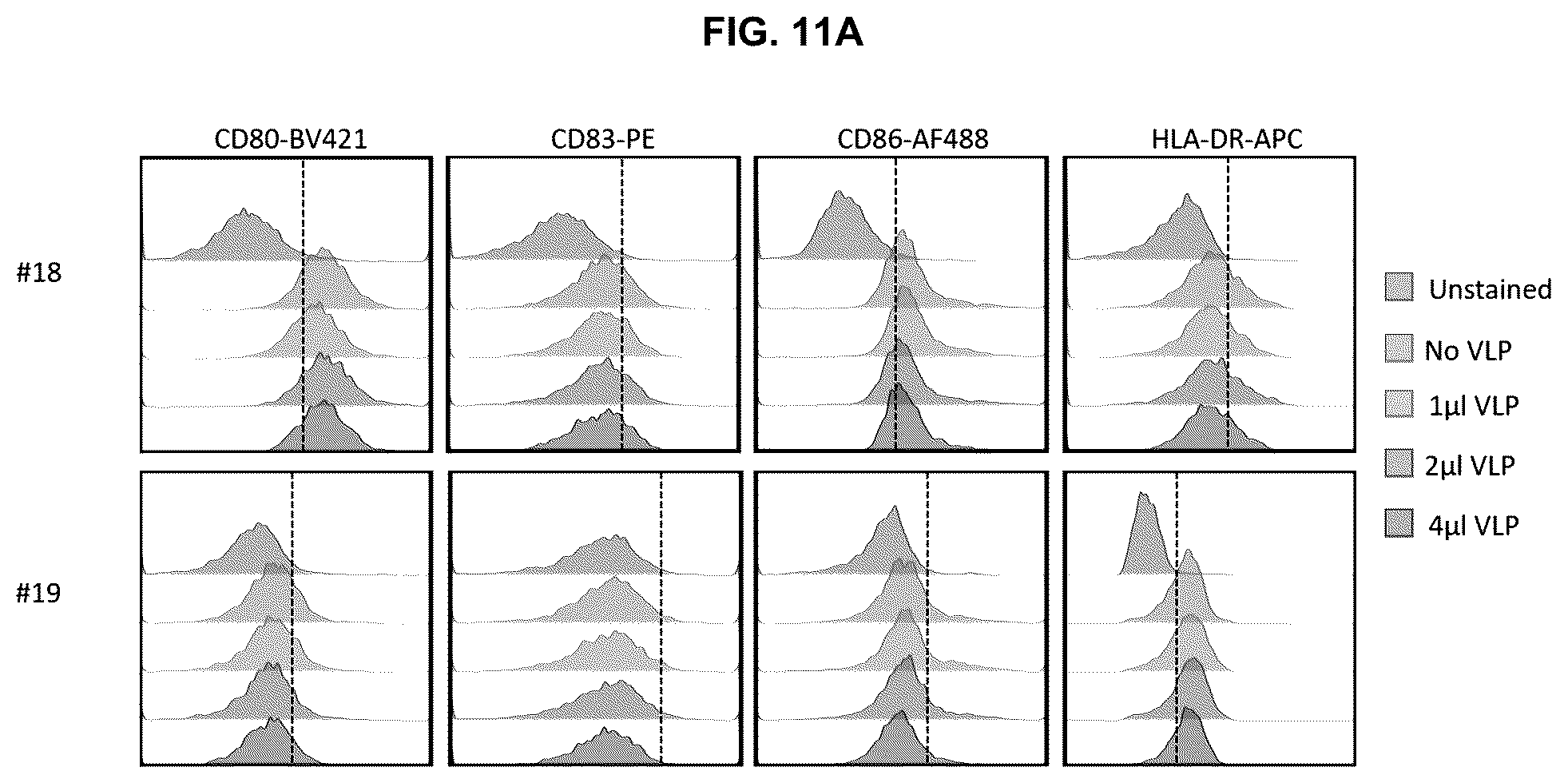 Patent US12303559 Figure 18 – Multivalent Epstein-Barr virus-like particles and uses thereof