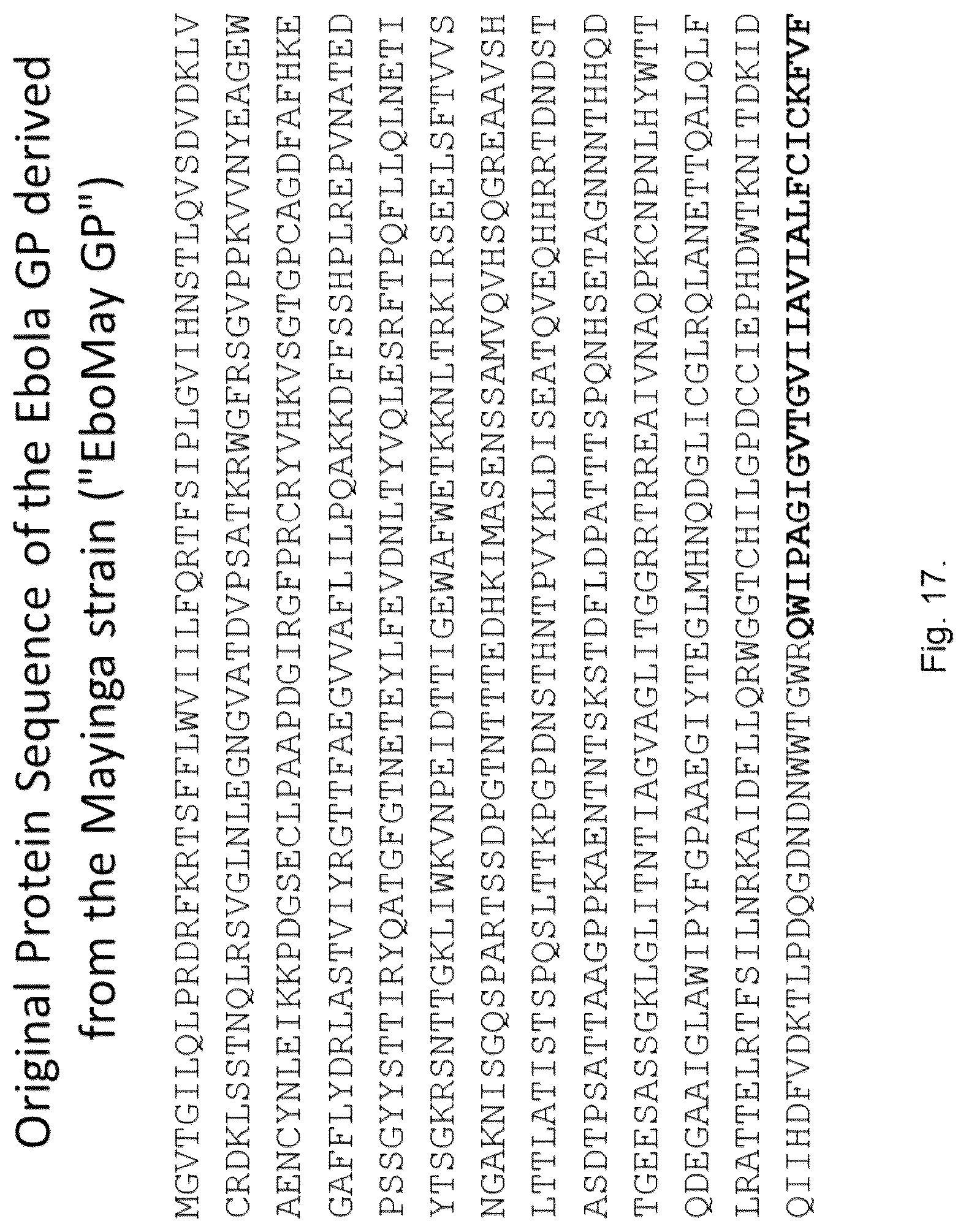 Patent US12303560 Figure 8 – Recombinant bovine immunodeficiency virus-like particles comprising an influenza HA transmembrane domain and C-terminus