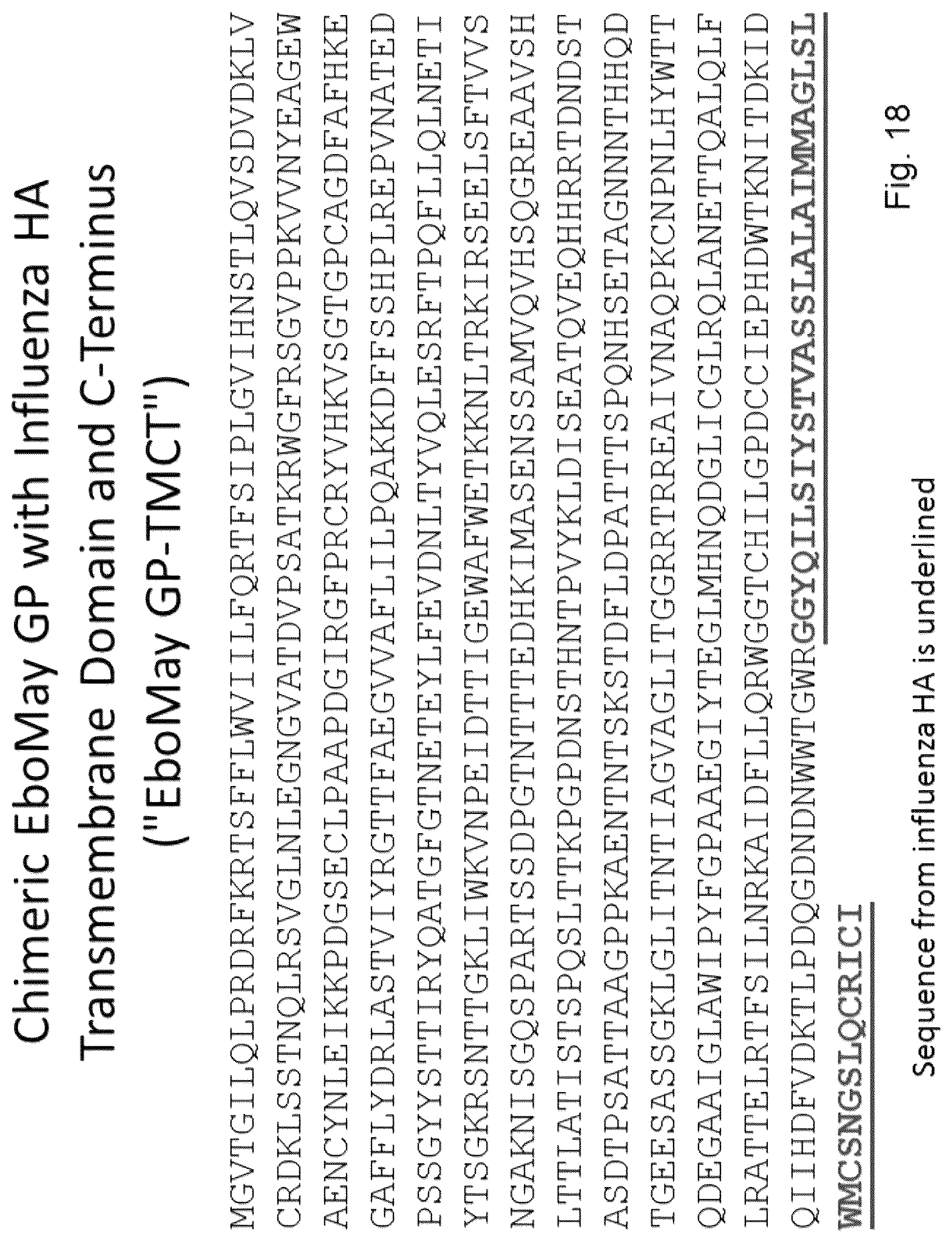 Patent US12303560 Figure 9 – Recombinant bovine immunodeficiency virus-like particles comprising an influenza HA transmembrane domain and C-terminus