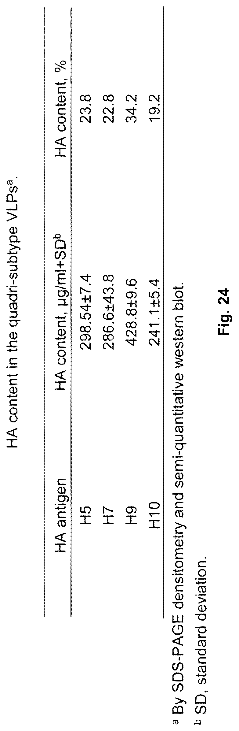 Patent US12303560 Figure 15 – Recombinant bovine immunodeficiency virus-like particles comprising an influenza HA transmembrane domain and C-terminus