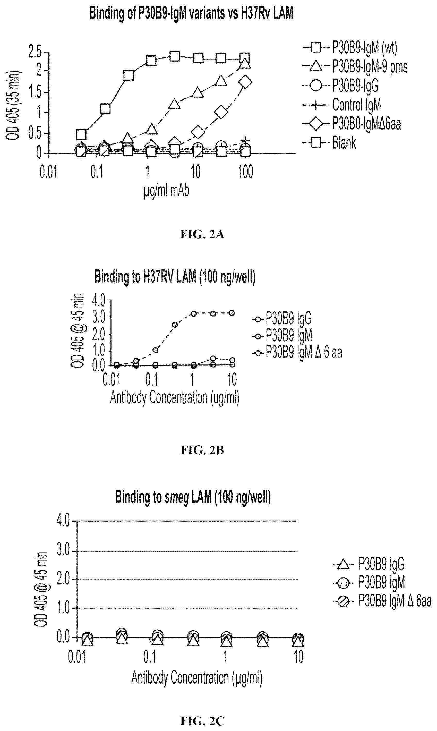 Patent US12303562 Figure 4 – Anti-LAM and anti-PIM6/LAM monoclonal antibodies for diagnosis and treatment of Mycobacterium tuberculosis infections