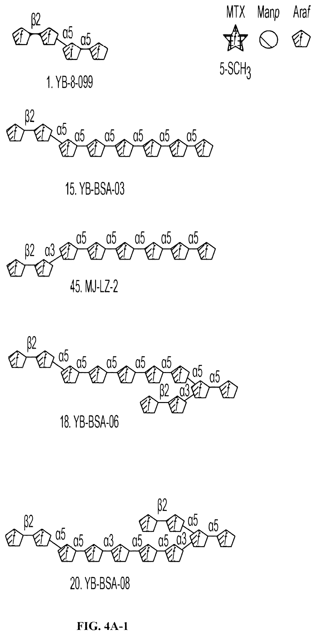 Patent US12303562 Figure 6 – Anti-LAM and anti-PIM6/LAM monoclonal antibodies for diagnosis and treatment of Mycobacterium tuberculosis infections