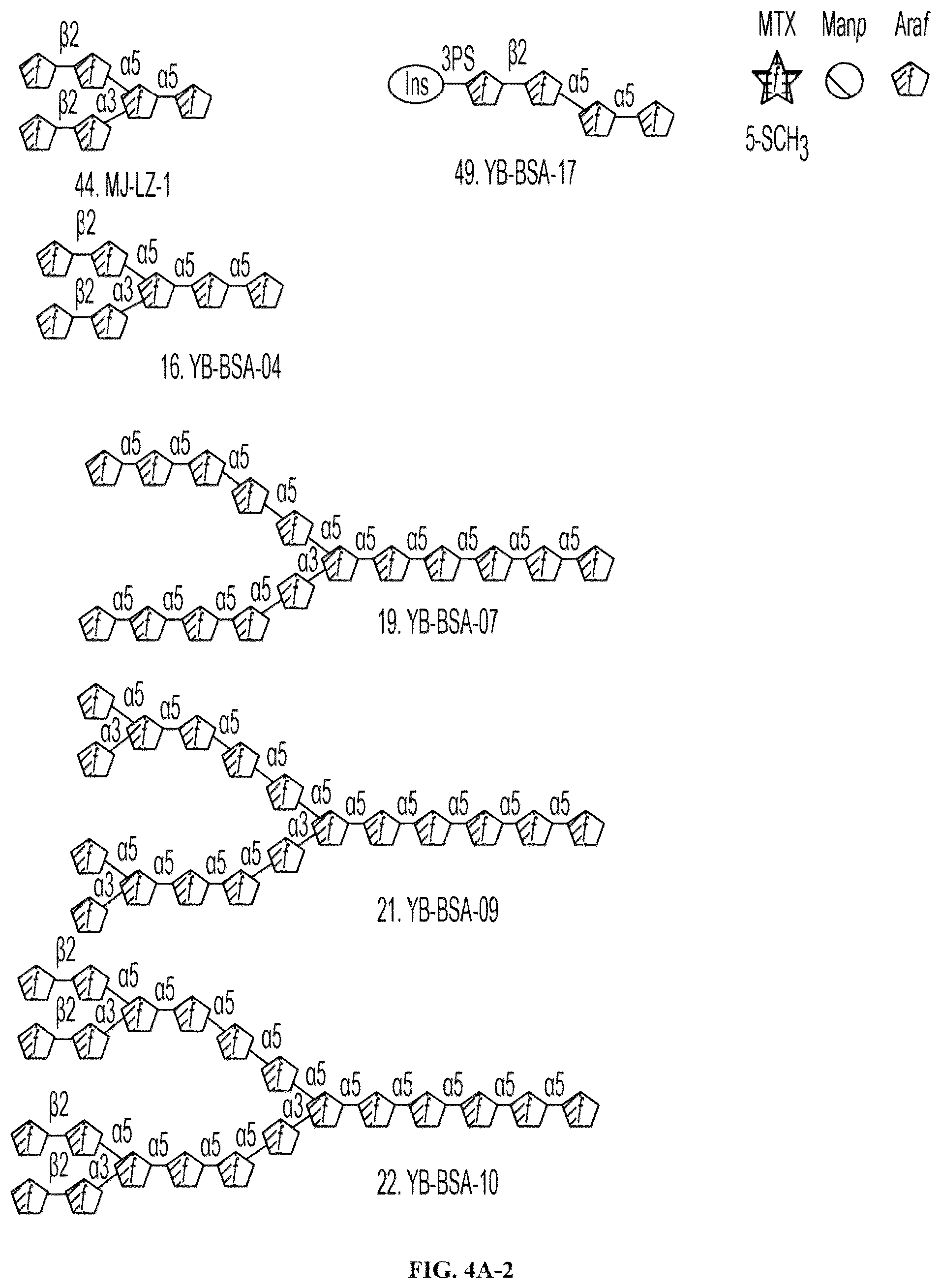 Patent US12303562 Figure 7 – Anti-LAM and anti-PIM6/LAM monoclonal antibodies for diagnosis and treatment of Mycobacterium tuberculosis infections