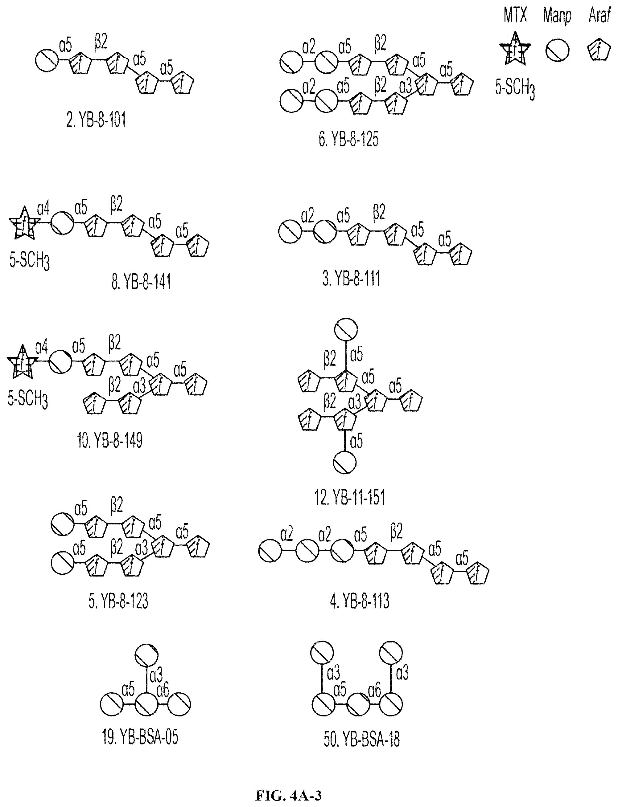 Patent US12303562 Figure 8 – Anti-LAM and anti-PIM6/LAM monoclonal antibodies for diagnosis and treatment of Mycobacterium tuberculosis infections