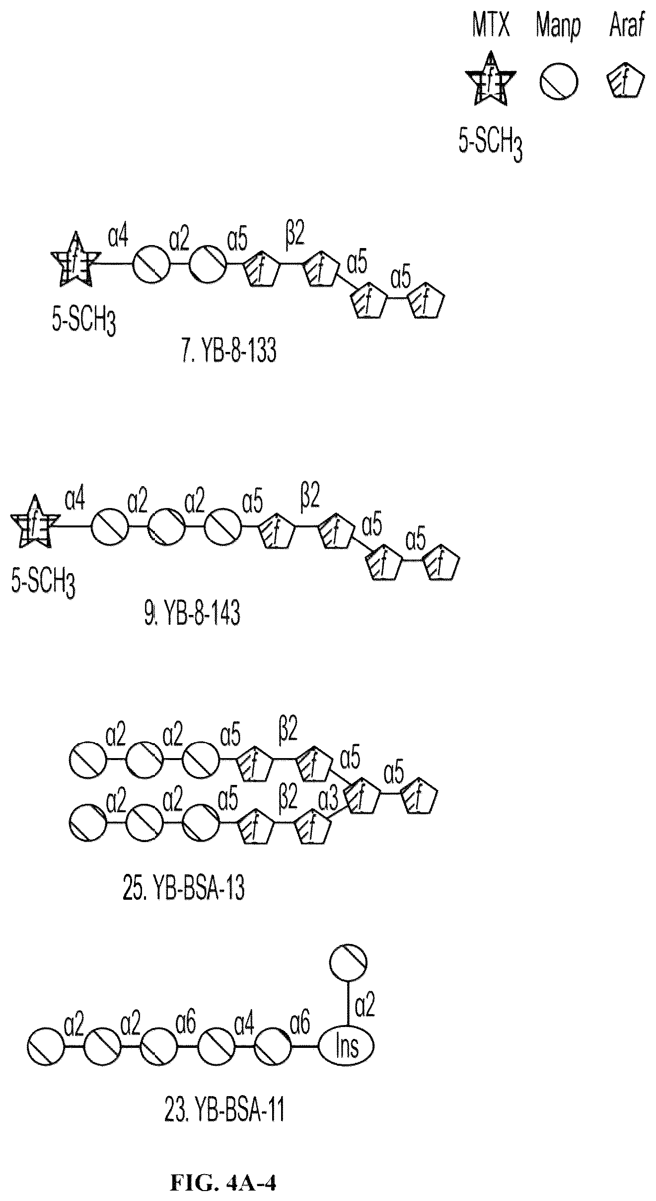 Patent US12303562 Figure 9 – Anti-LAM and anti-PIM6/LAM monoclonal antibodies for diagnosis and treatment of Mycobacterium tuberculosis infections