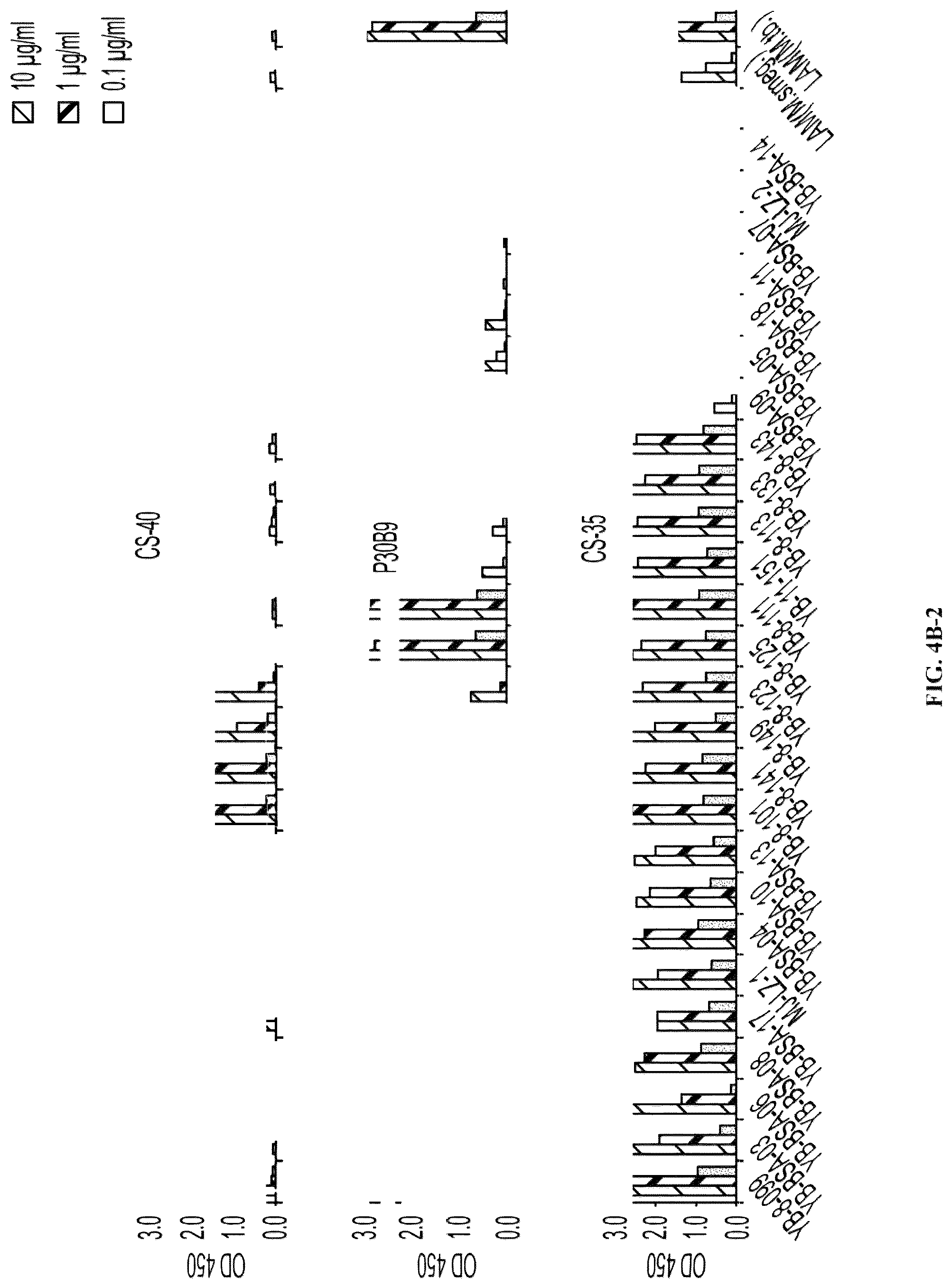 Patent US12303562 Figure 11 – Anti-LAM and anti-PIM6/LAM monoclonal antibodies for diagnosis and treatment of Mycobacterium tuberculosis infections