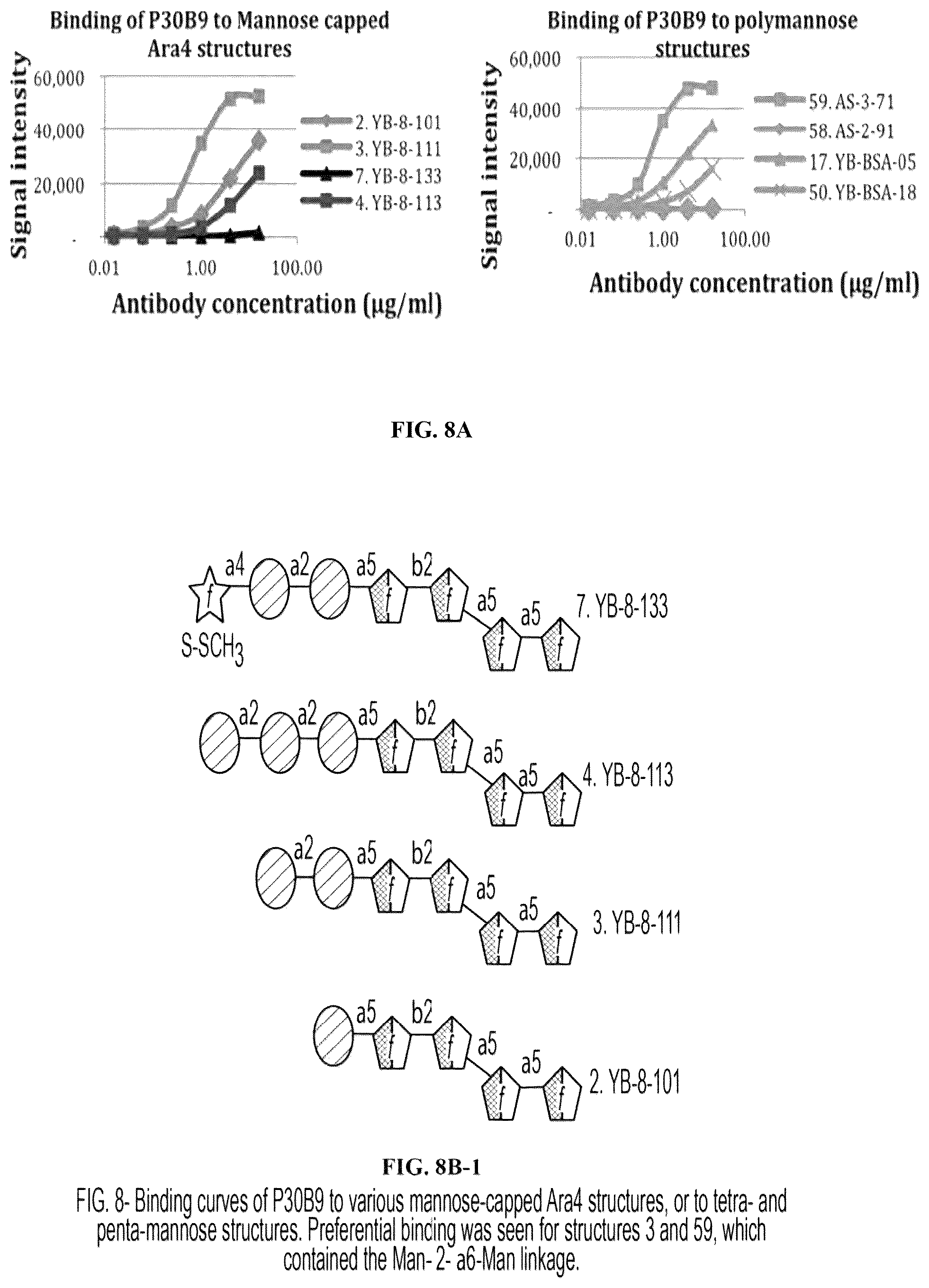 Patent US12303562 Figure 16 – Anti-LAM and anti-PIM6/LAM monoclonal antibodies for diagnosis and treatment of Mycobacterium tuberculosis infections