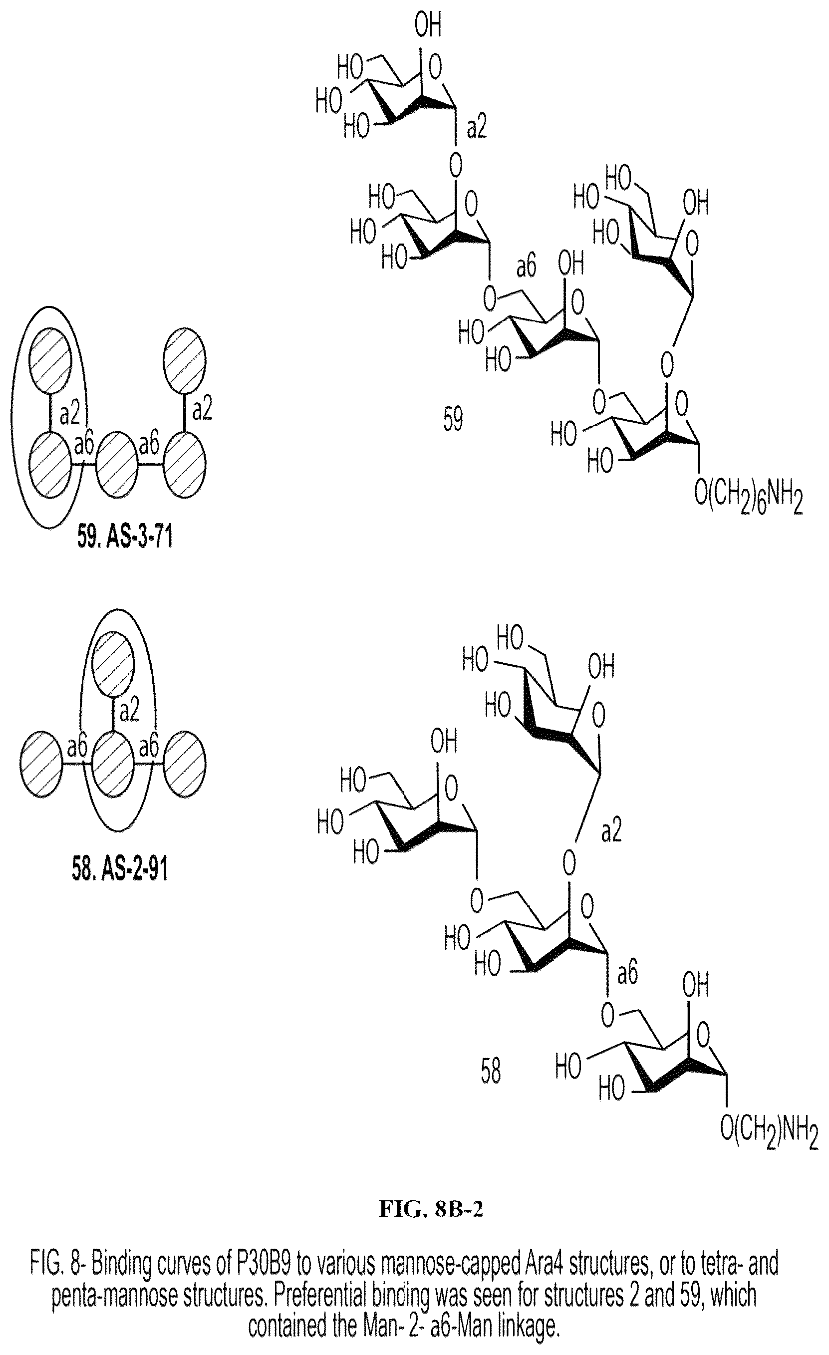 Patent US12303562 Figure 17 – Anti-LAM and anti-PIM6/LAM monoclonal antibodies for diagnosis and treatment of Mycobacterium tuberculosis infections