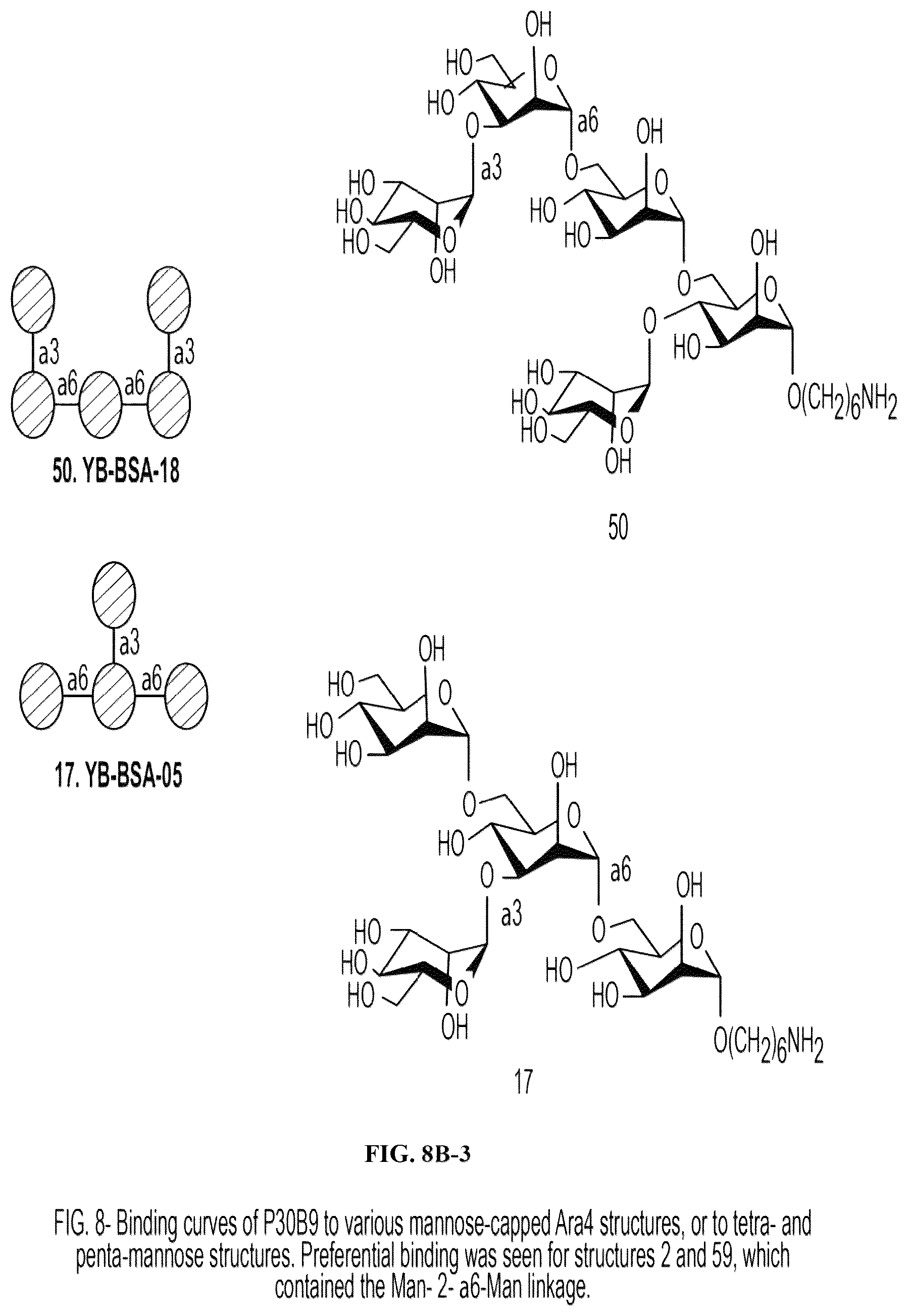 Patent US12303562 Figure 18 – Anti-LAM and anti-PIM6/LAM monoclonal antibodies for diagnosis and treatment of Mycobacterium tuberculosis infections