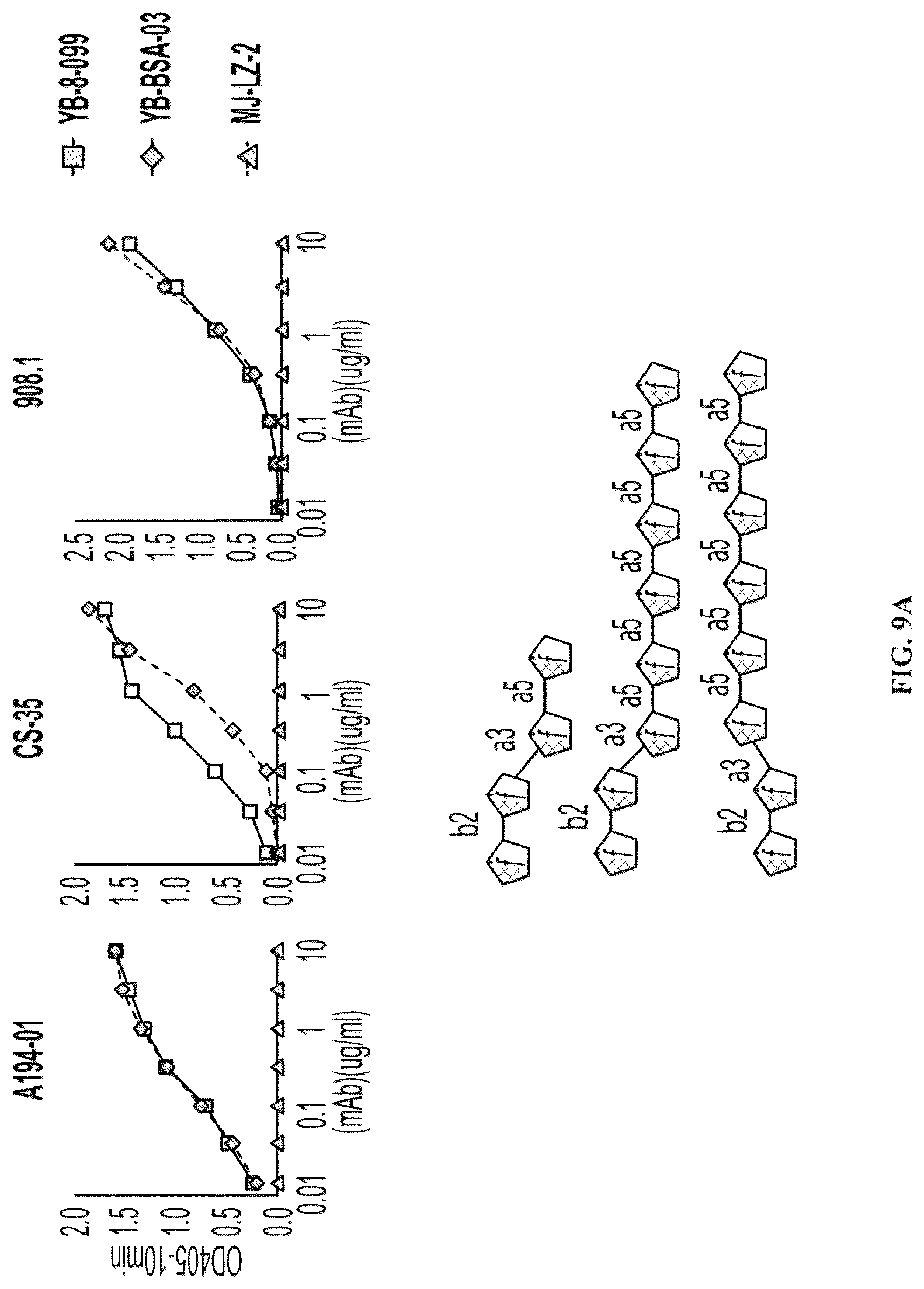 Patent US12303562 Figure 19 – Anti-LAM and anti-PIM6/LAM monoclonal antibodies for diagnosis and treatment of Mycobacterium tuberculosis infections