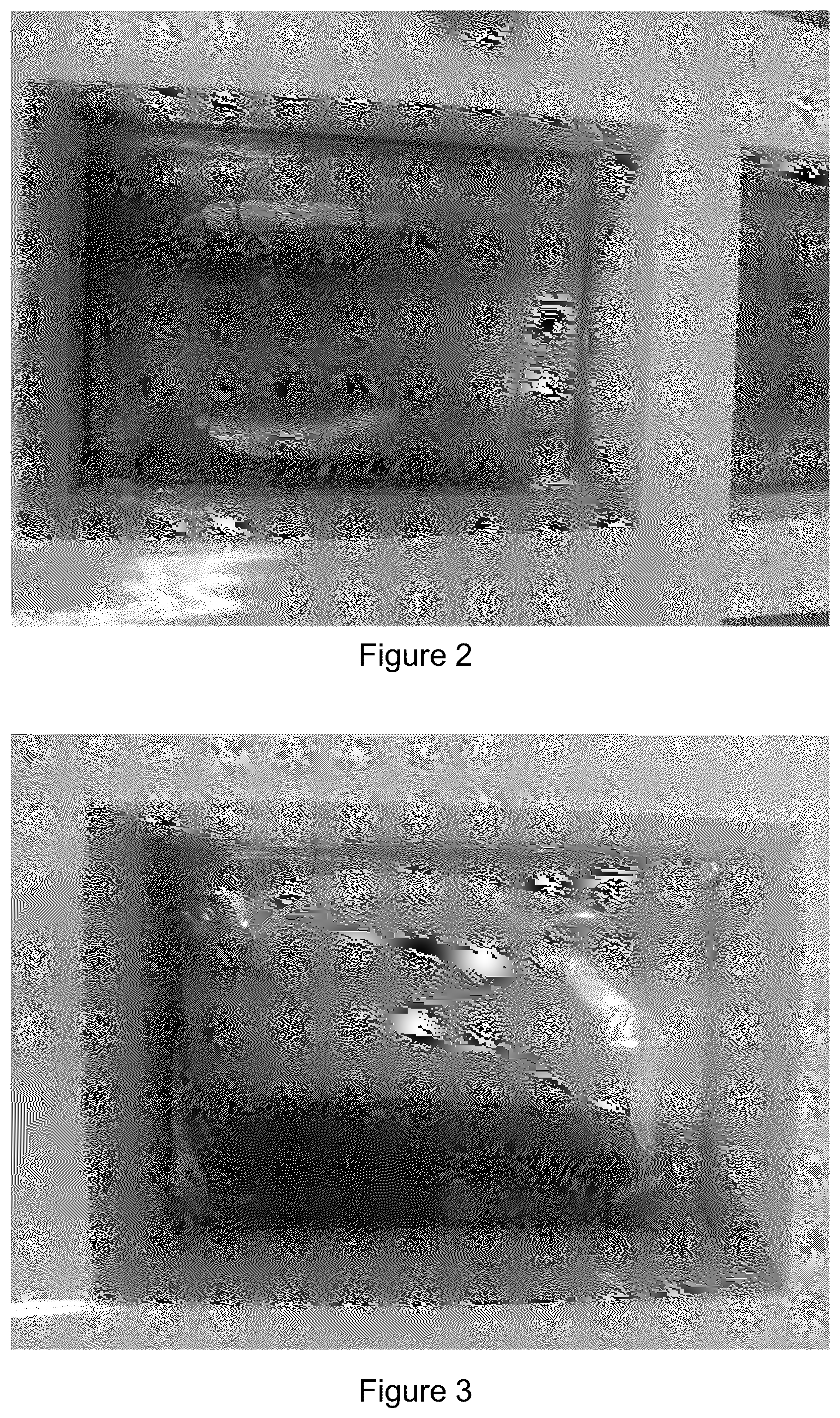 Patent US12303564 Figure 2 – Composite chitosan-tannin-active agent compositions and methods of making and using same