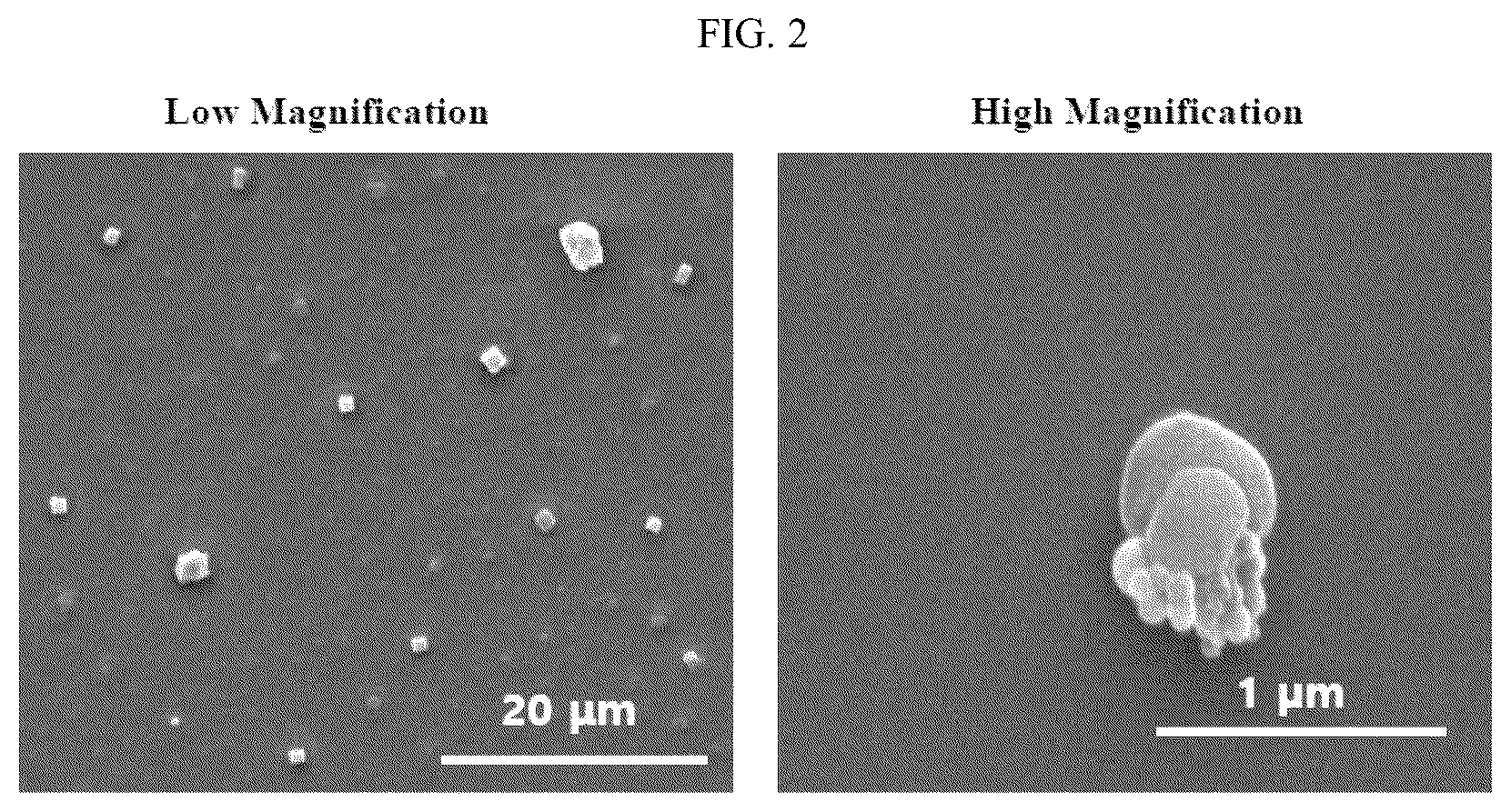 Patent US12303565 Figure 2 – Self-assembled complex containing magnesium ion
