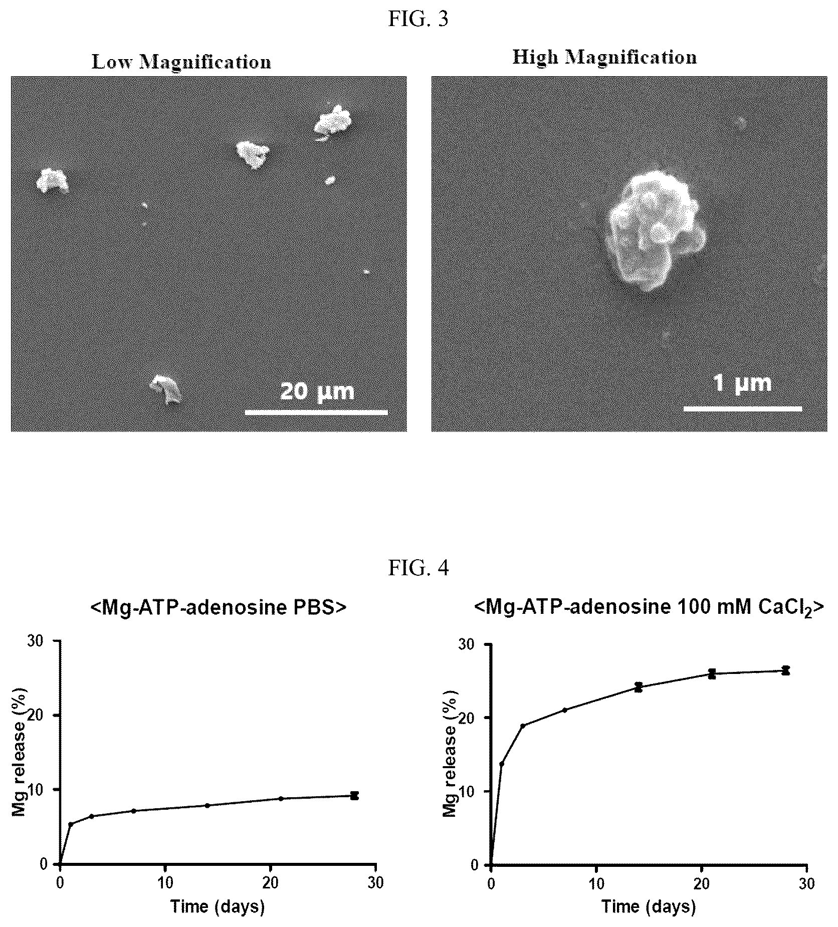 Patent US12303565 Figure 3 – Self-assembled complex containing magnesium ion